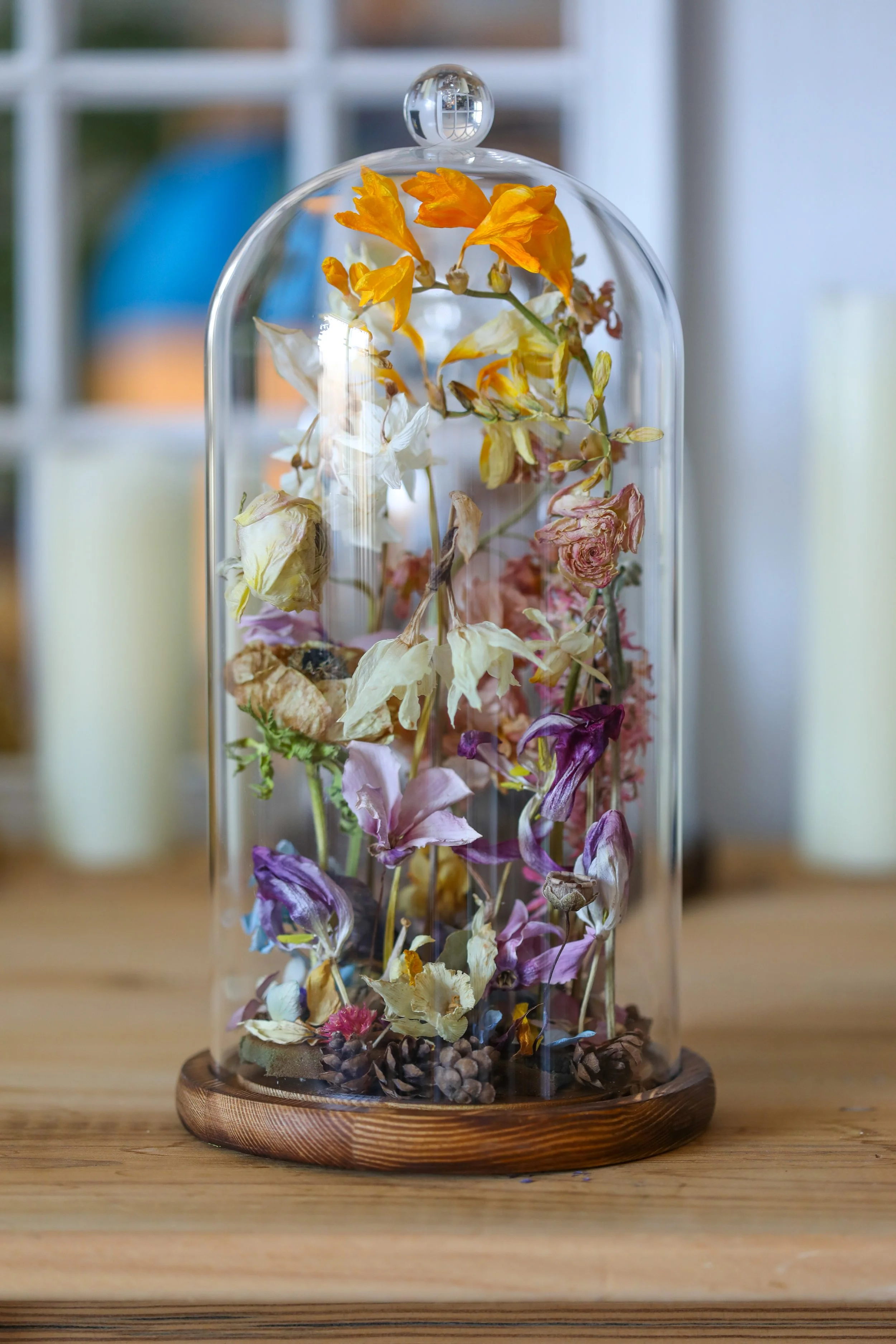 Springtime Snail 13.jpg