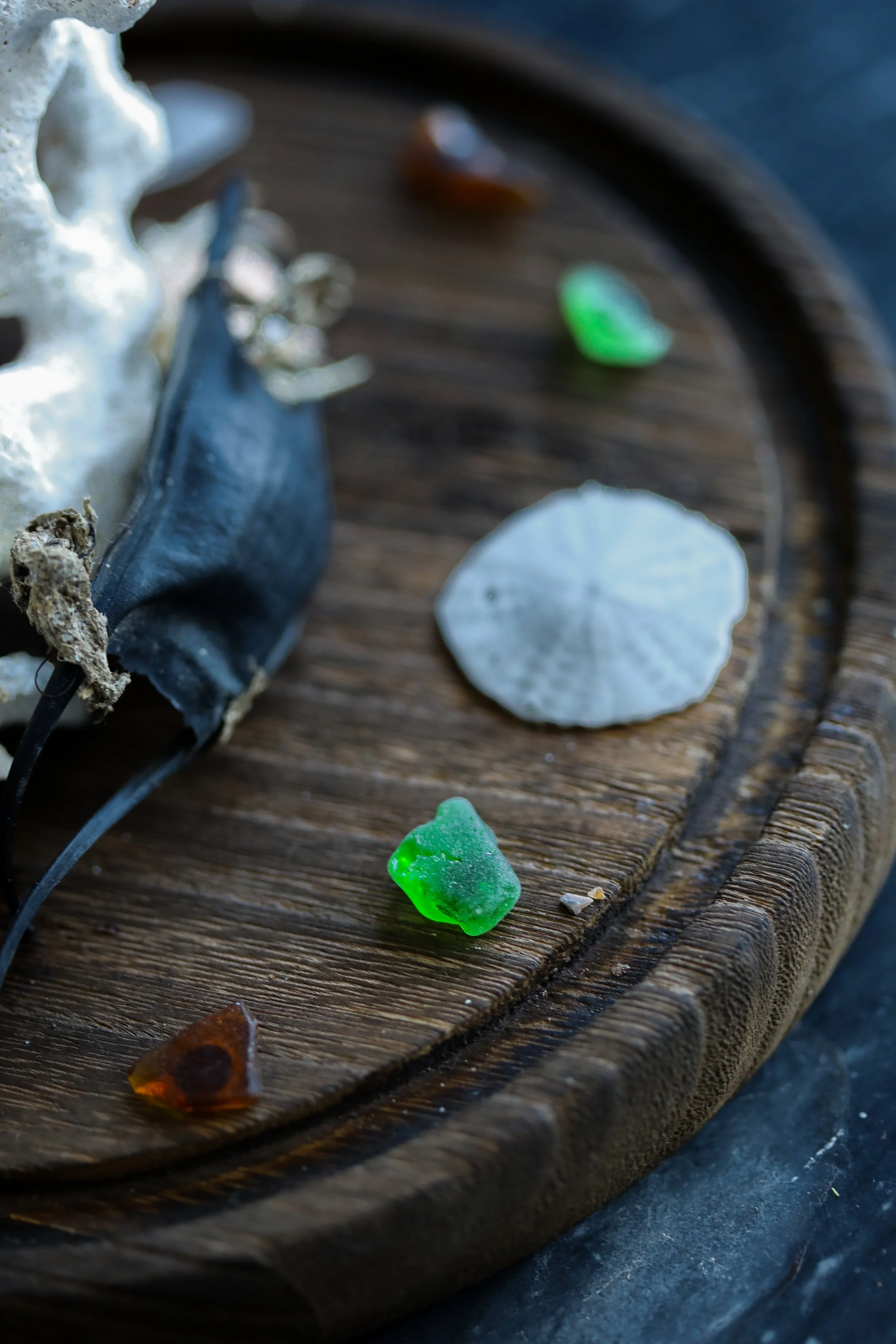 Crab Terrarium--2.jpg