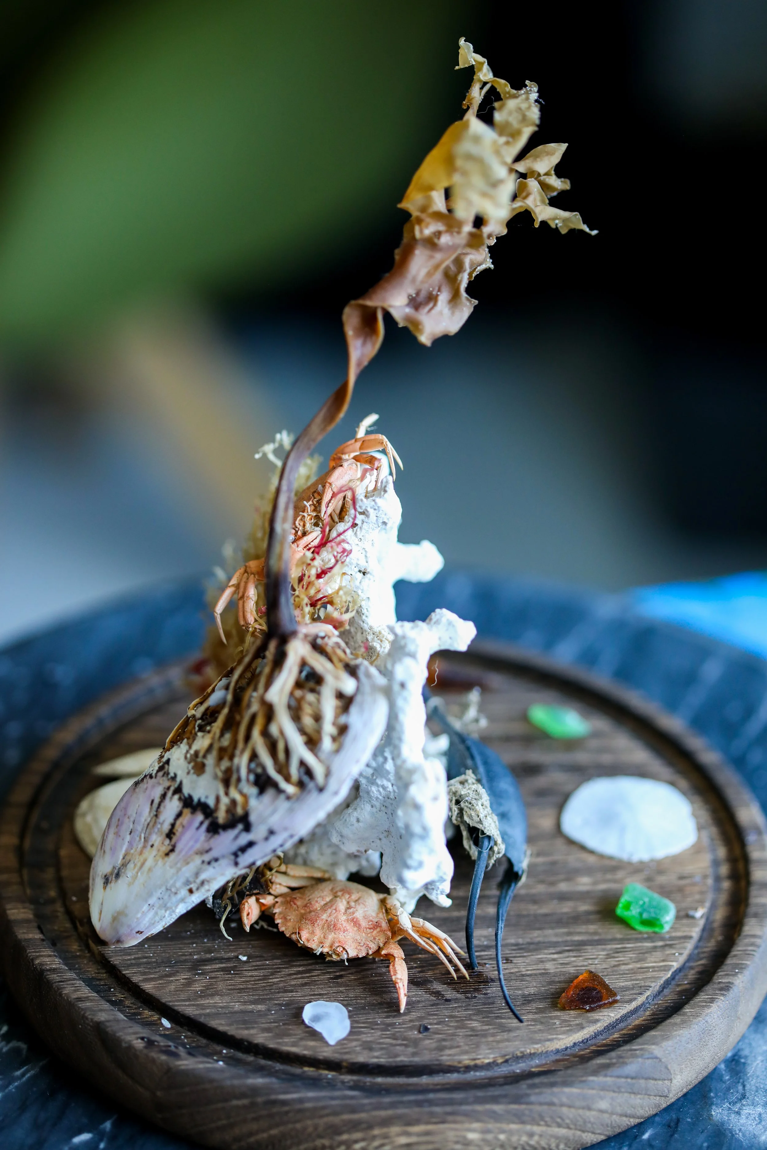 Crab Terrarium--1.jpg