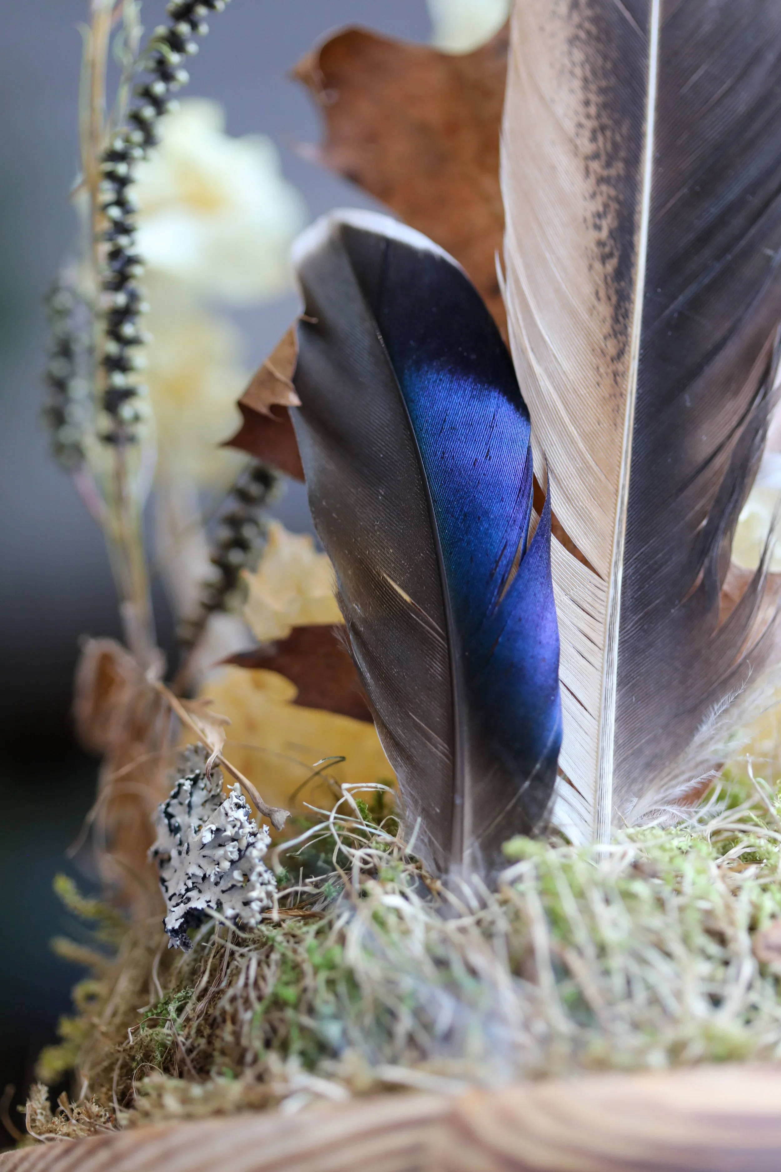 Honey Butterfly-09.jpg