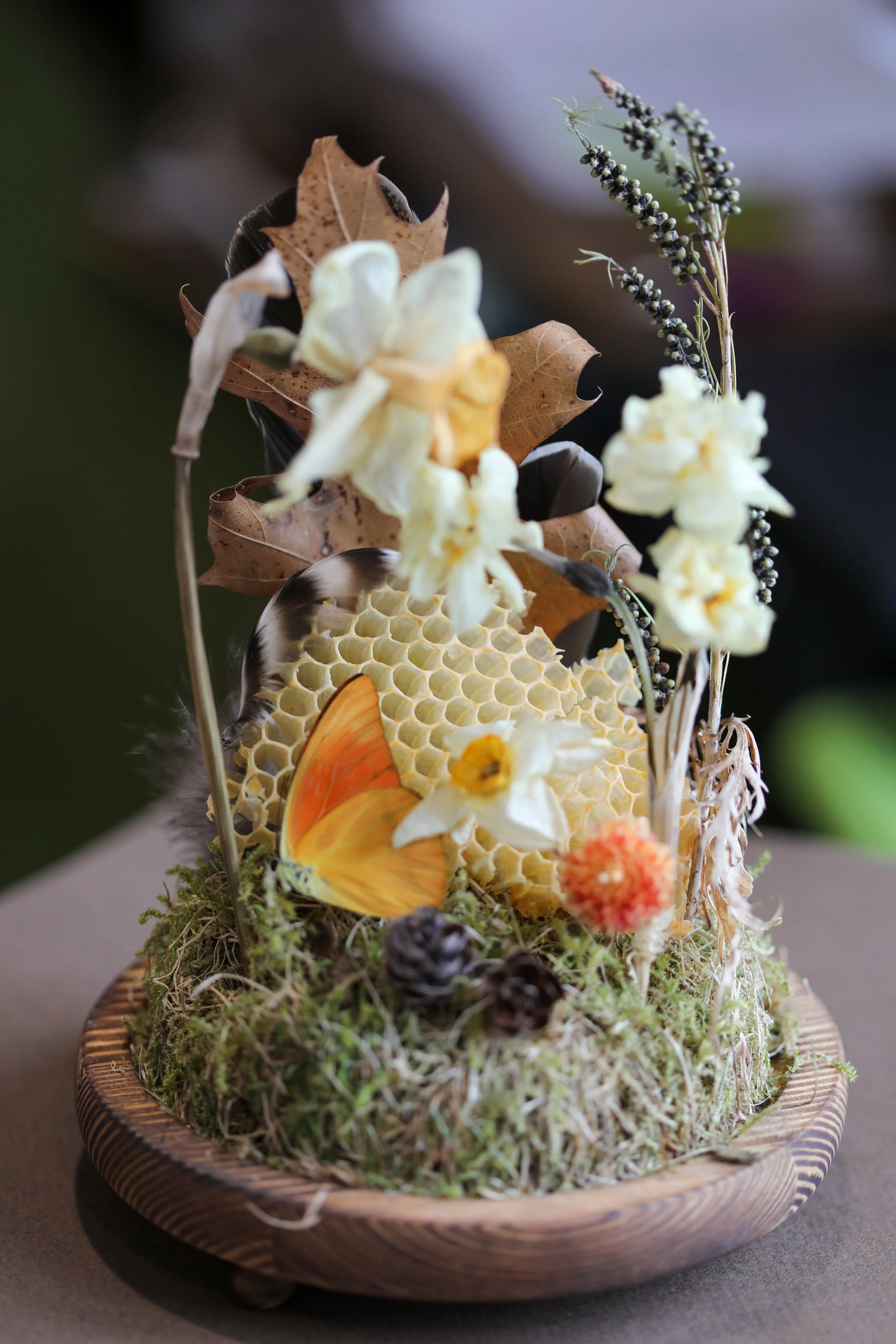 Honey Butterfly-02.jpg