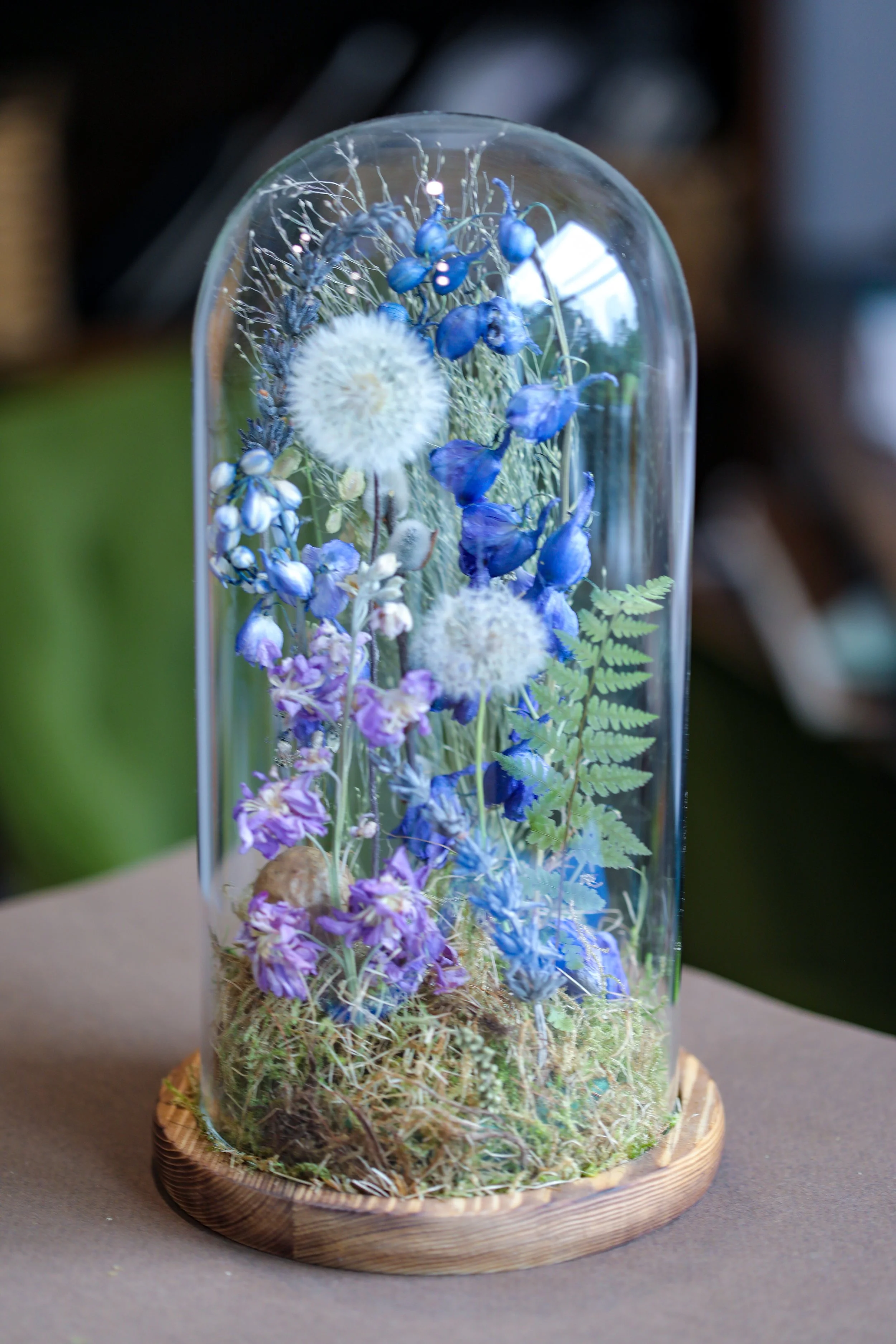 Dandelion Wishes-4.jpg