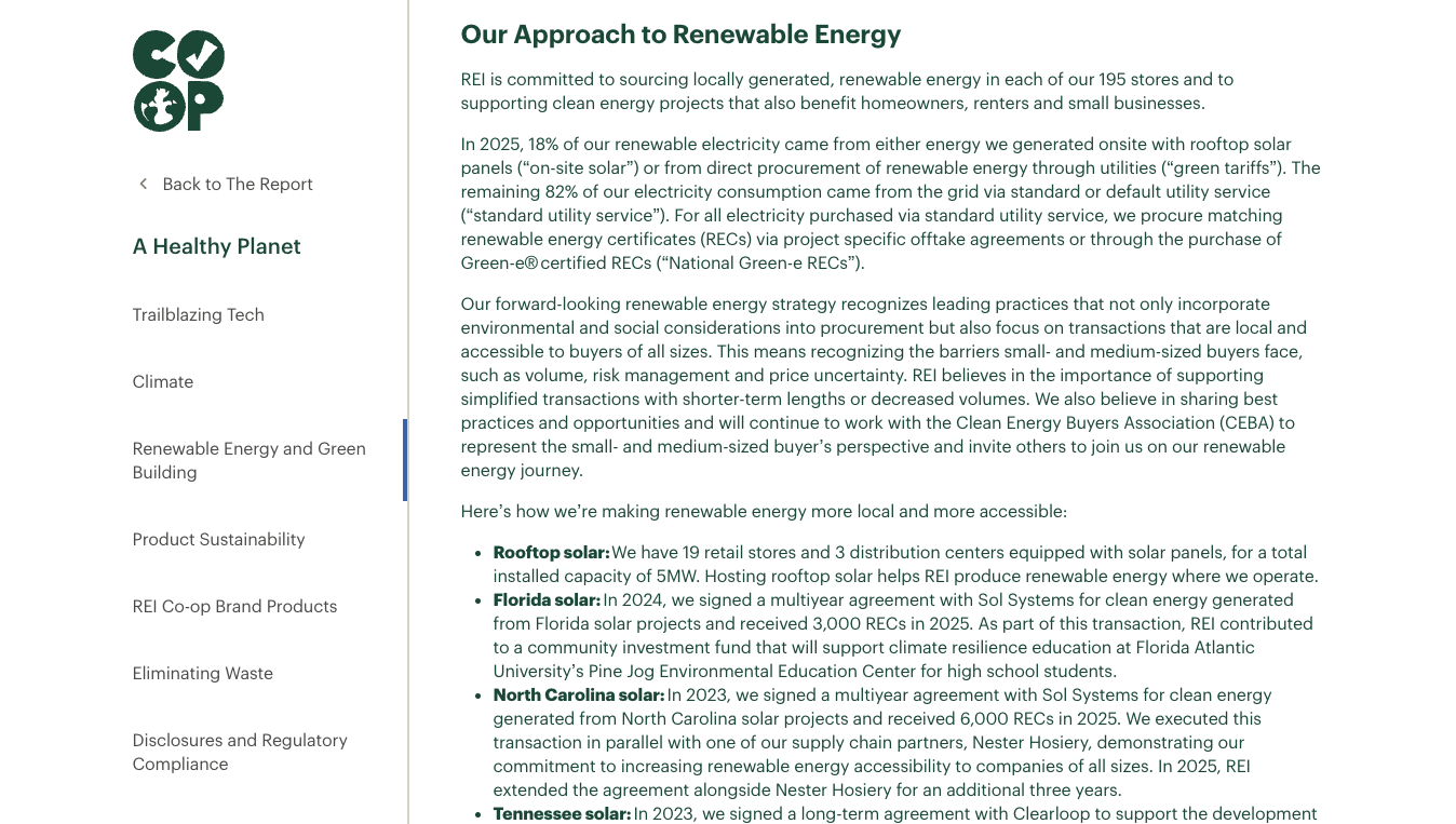 REI 2025 Impact Report Sample Section (Copy)