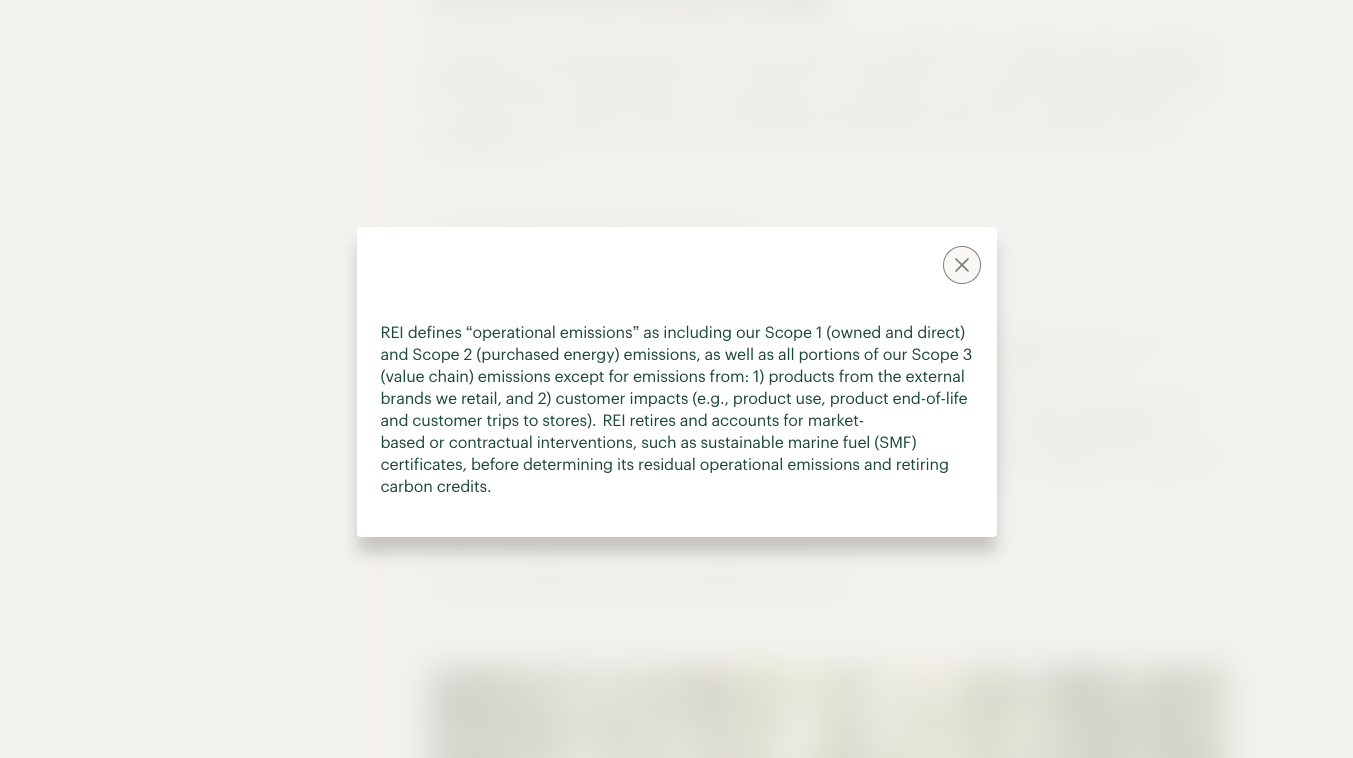 REI 2025 Impact Report Popup Information (Copy)