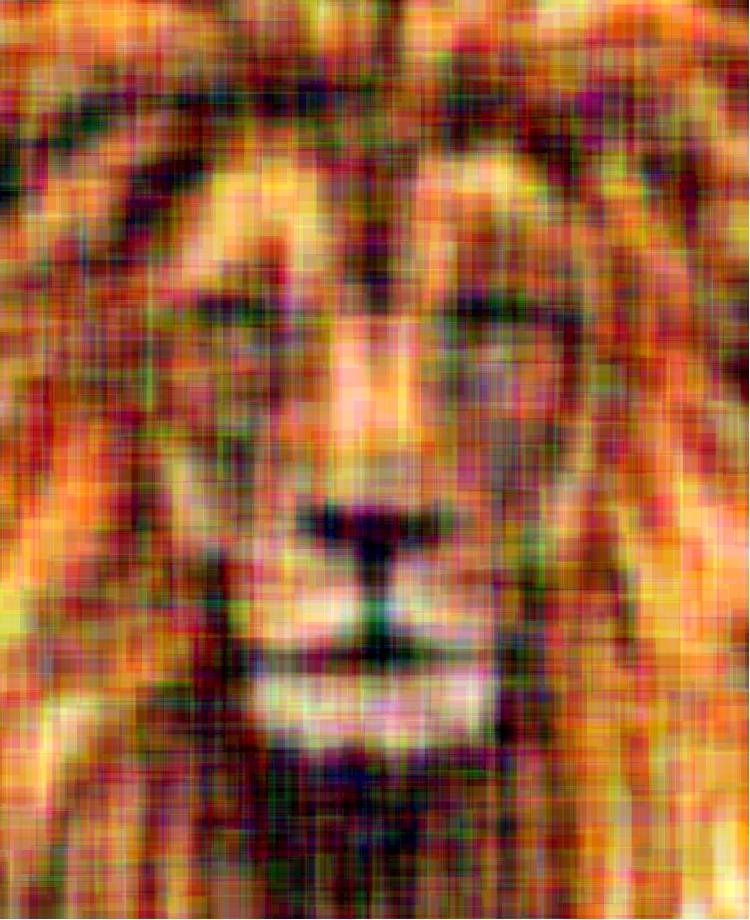 square-lion.jpg