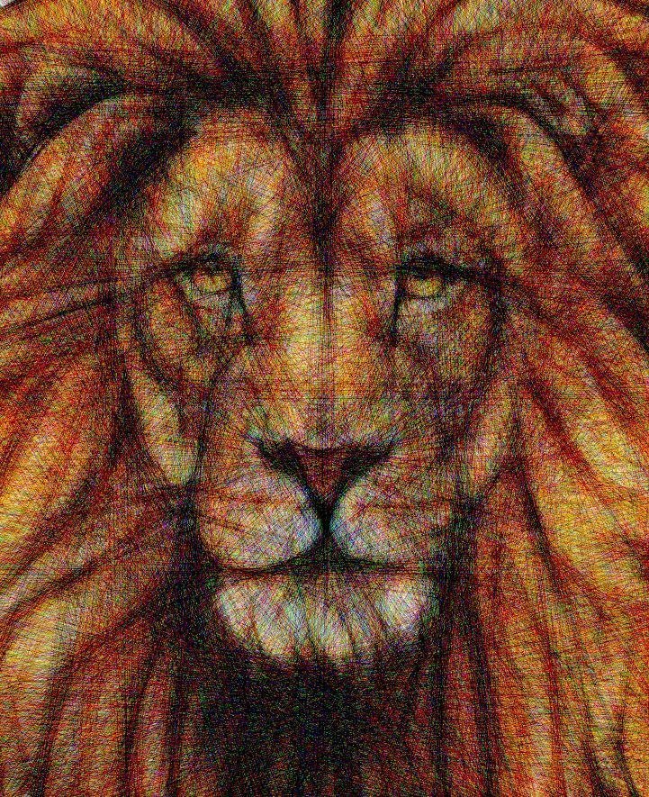 lion_01.jpg