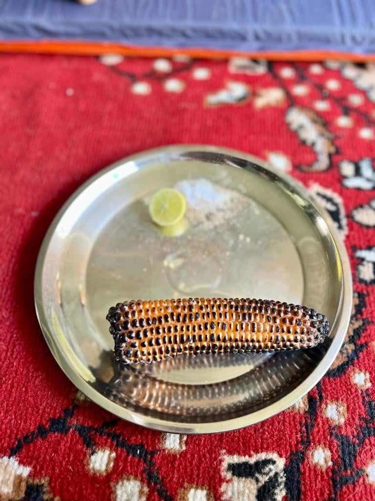 Spring crop corn.jpeg