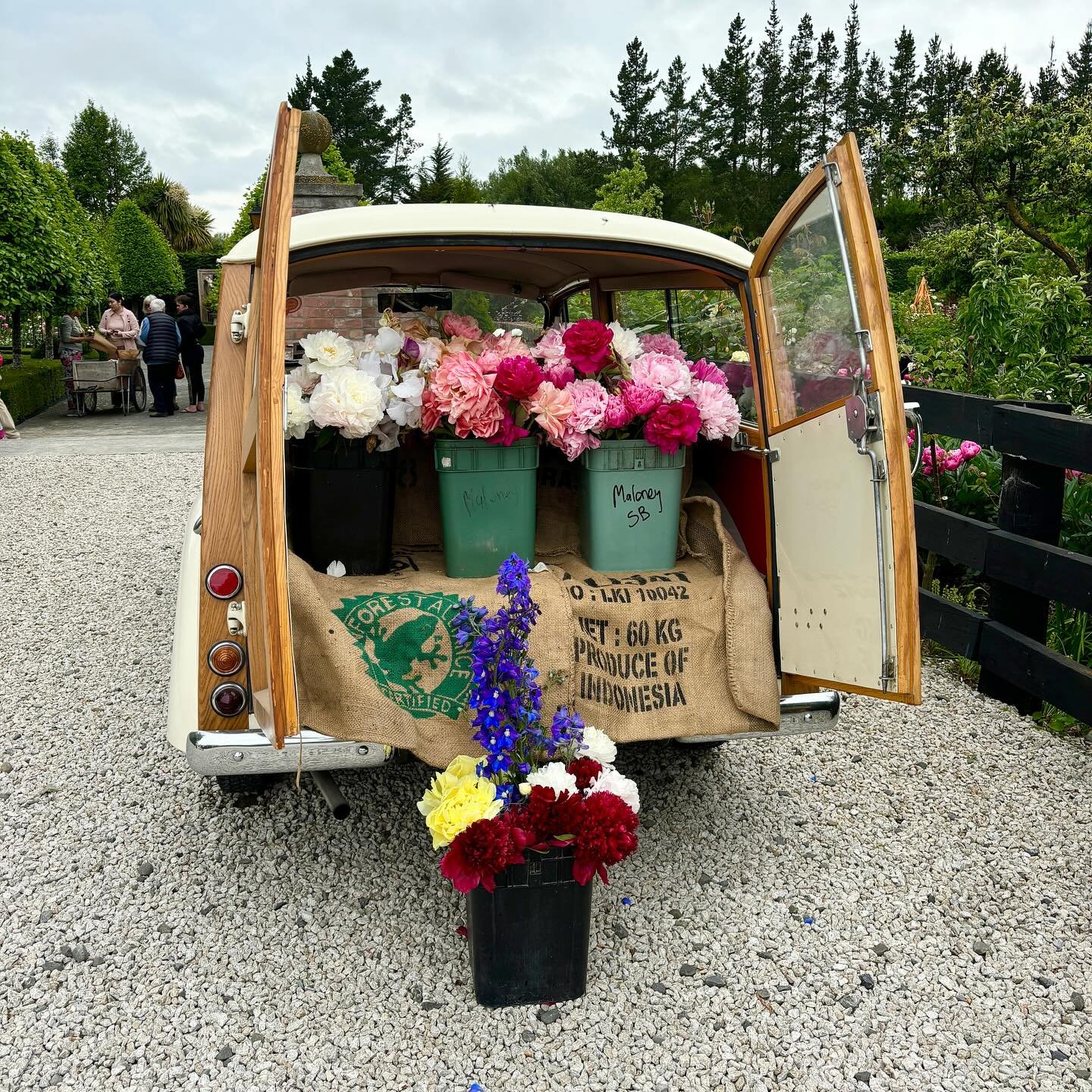 We are open!
Come and visit Broadoak Gardens, 10am-4pm today. 232 Jacksons Road, Ohoka. Free Entry.