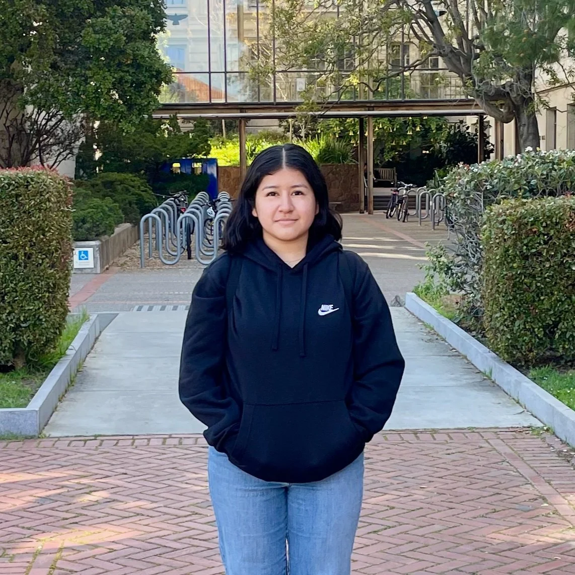 Challenge — Racial Equity Solutions for California Community Colleges