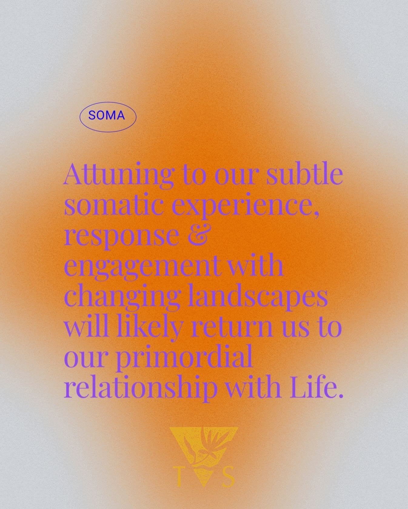 💛🌿🐺🌳🌊🏜️🐍🍄⛰️🌵🦋🌻🌸🐝

#somaticexperiencing
#primordial
#spiral
#ecologicalself
#reciprocity
#landconnection
#animalbody