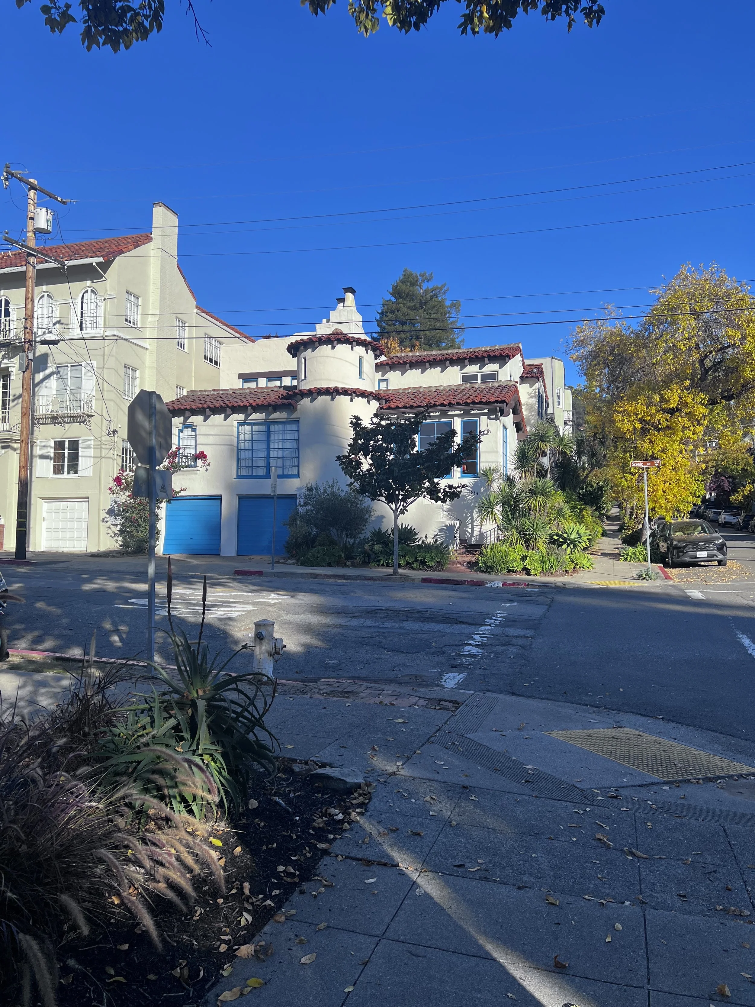 Coming Soon! 1645 Scenic Avenue, Berkeley Duplex ~1,900 SF 3/2.5, 1 car Garage, Storage, Yard, CHARMING! $5,400/ MONTH
