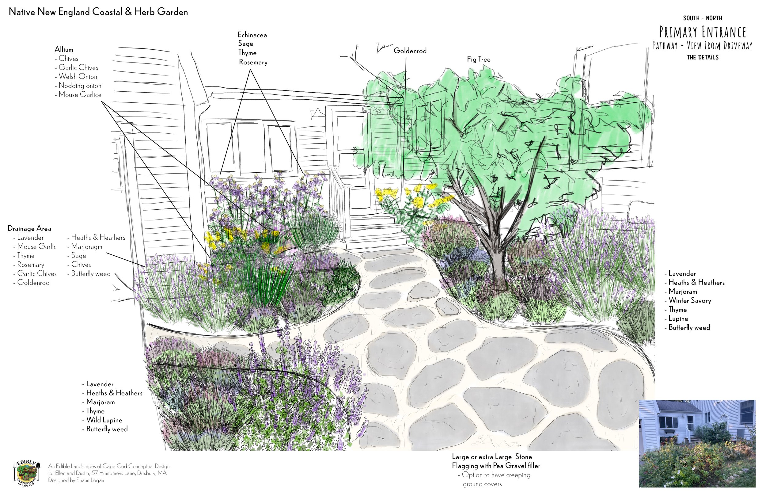 Front Path_Patio - From Driveway - Details (1).jpg