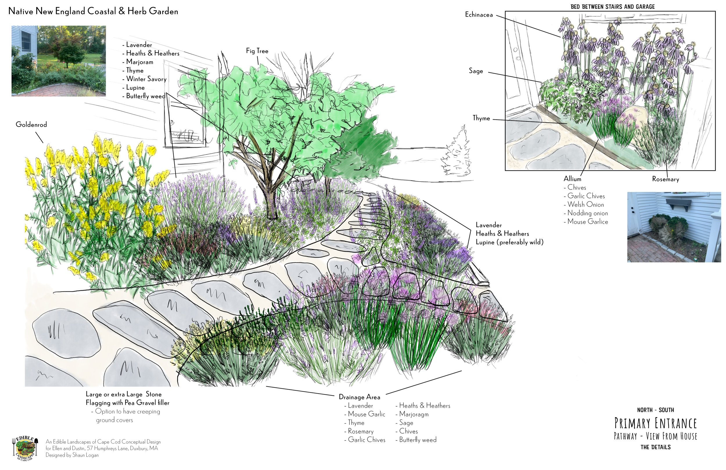 Front Path_Patio - From house - Details copy.jpg