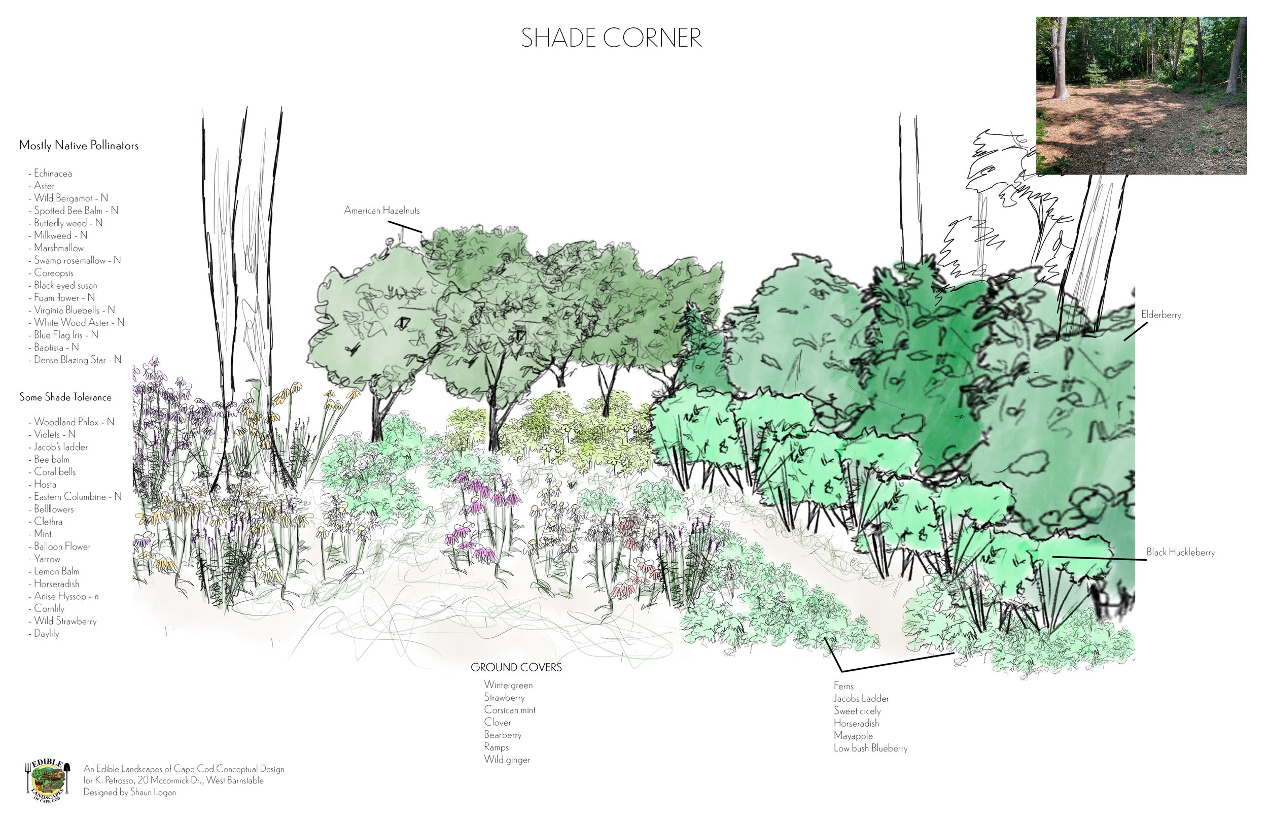 Shade area.jpg