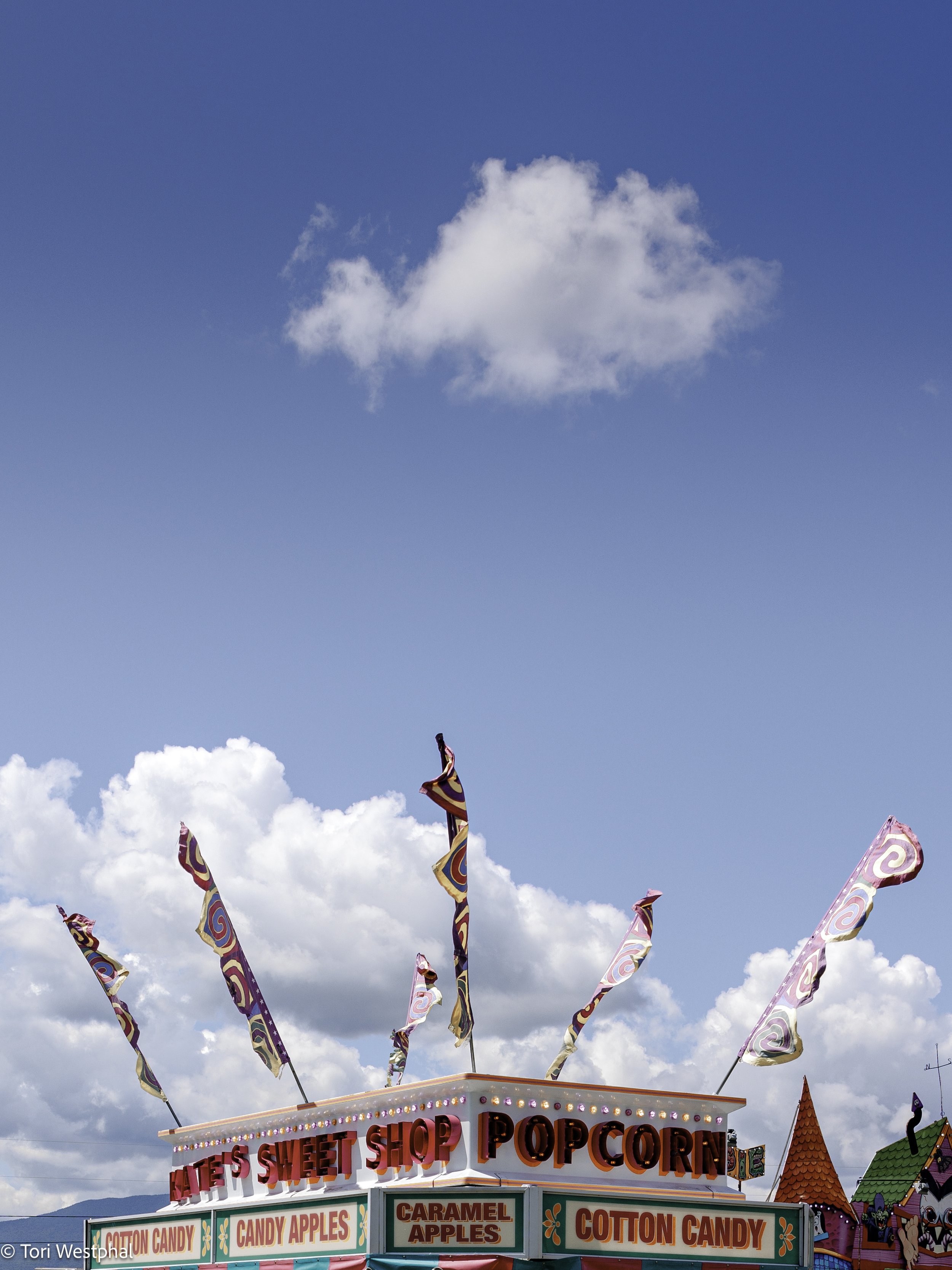 VAW_Field_Days_2024-10.jpg
