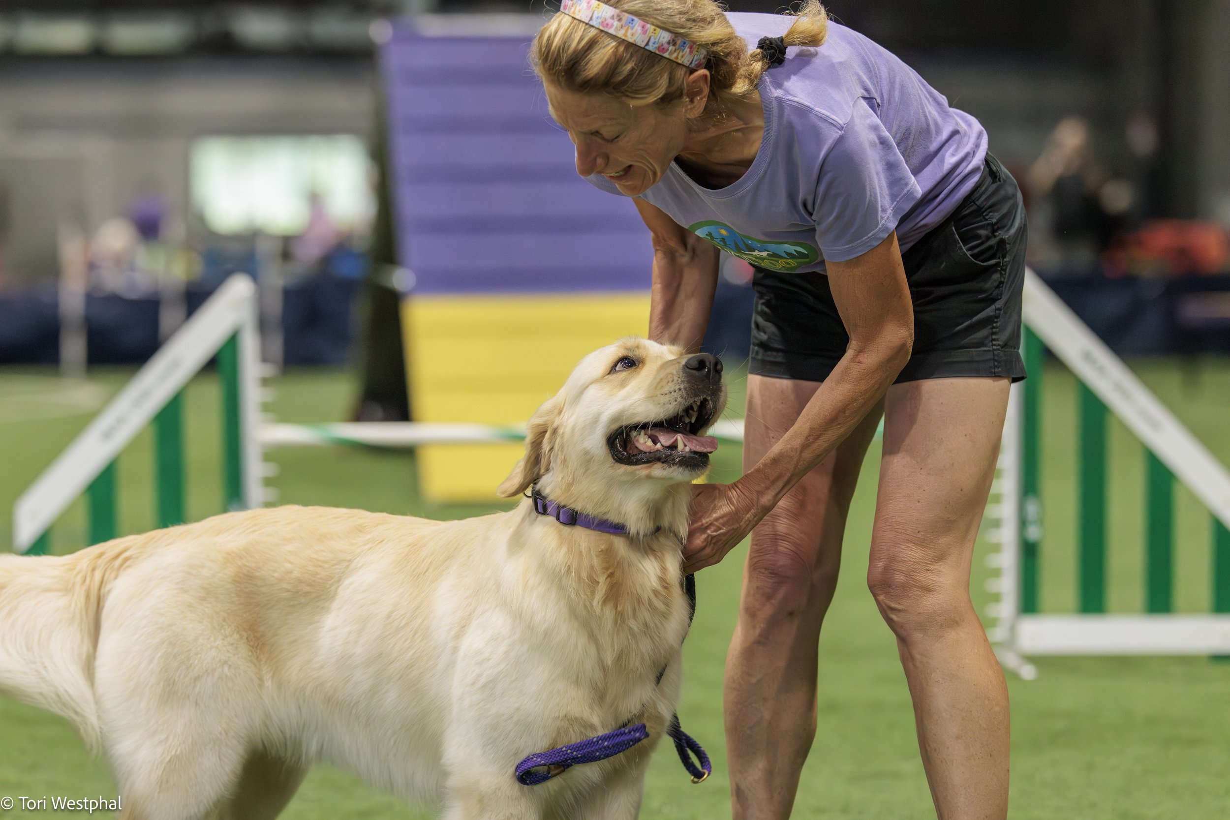 Dog Agility Trials