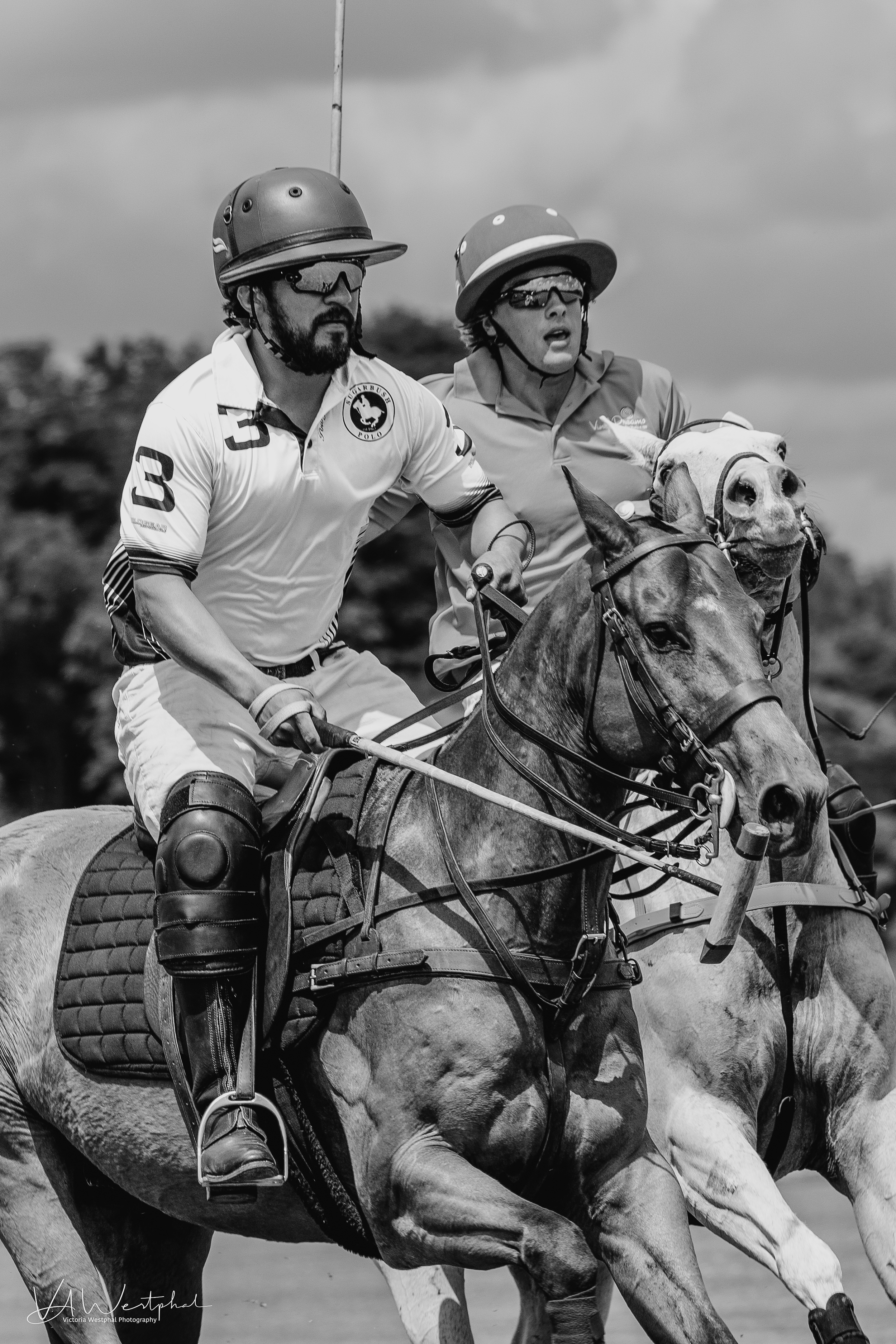 Westphal_POLO--75.png
