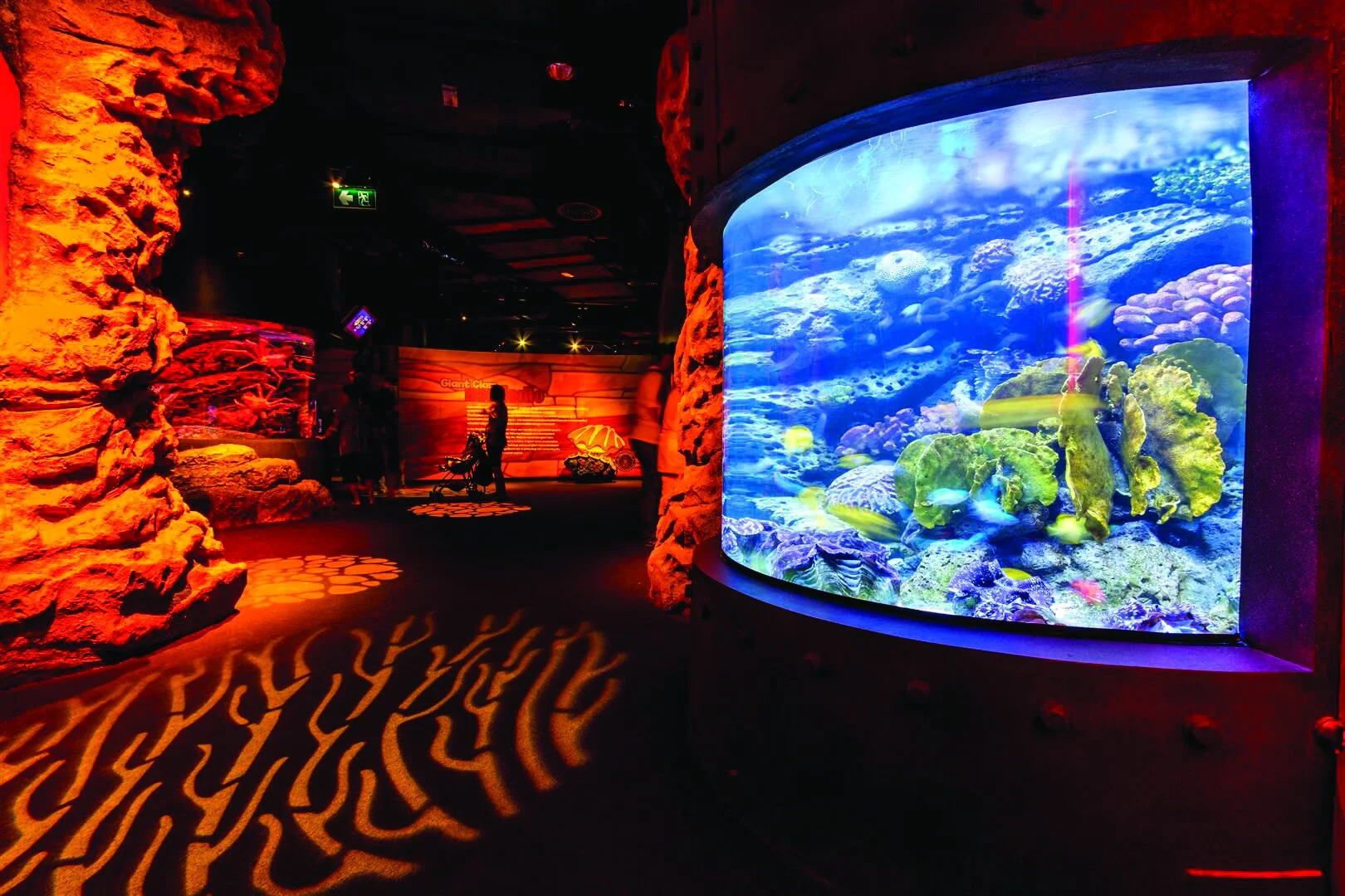 20141207_SeaLifeBangkok_0001 (Large).JPG