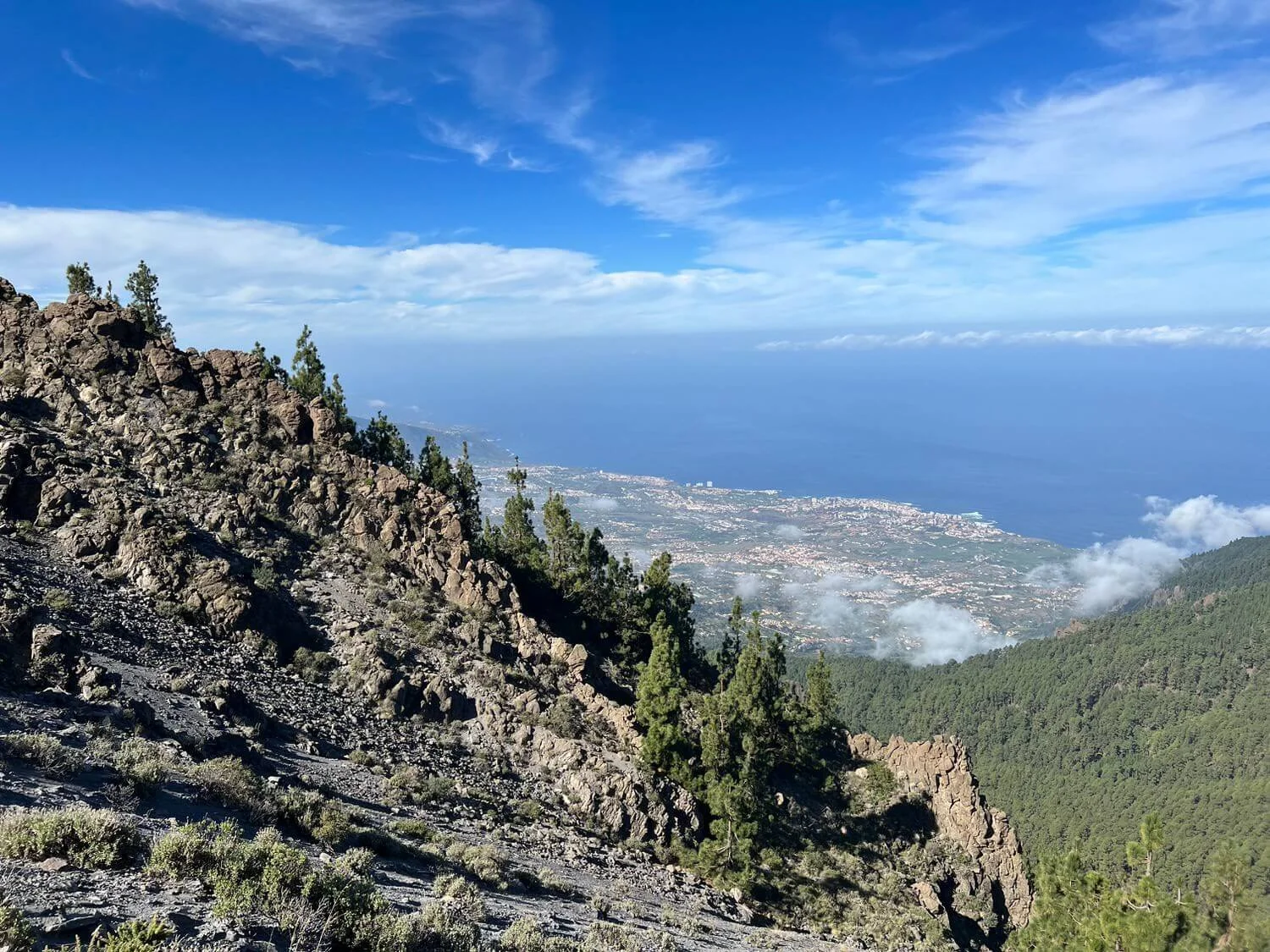 la-esperanza-tenerife.jpeg