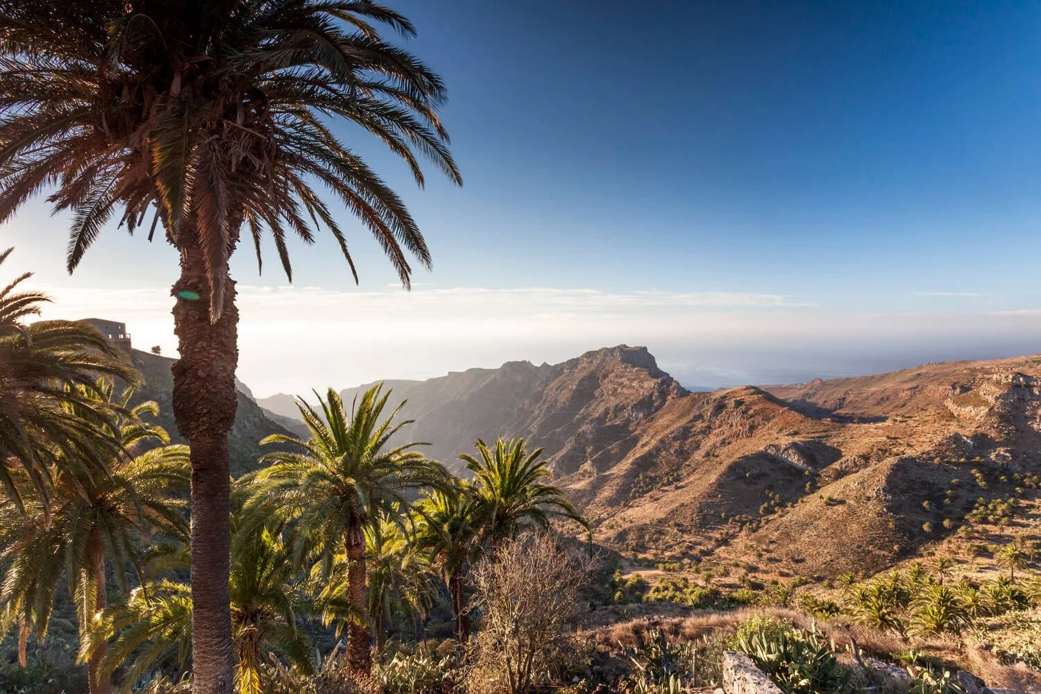 MSC Cruises to Offer Two New Itineraries From the Canary Islands