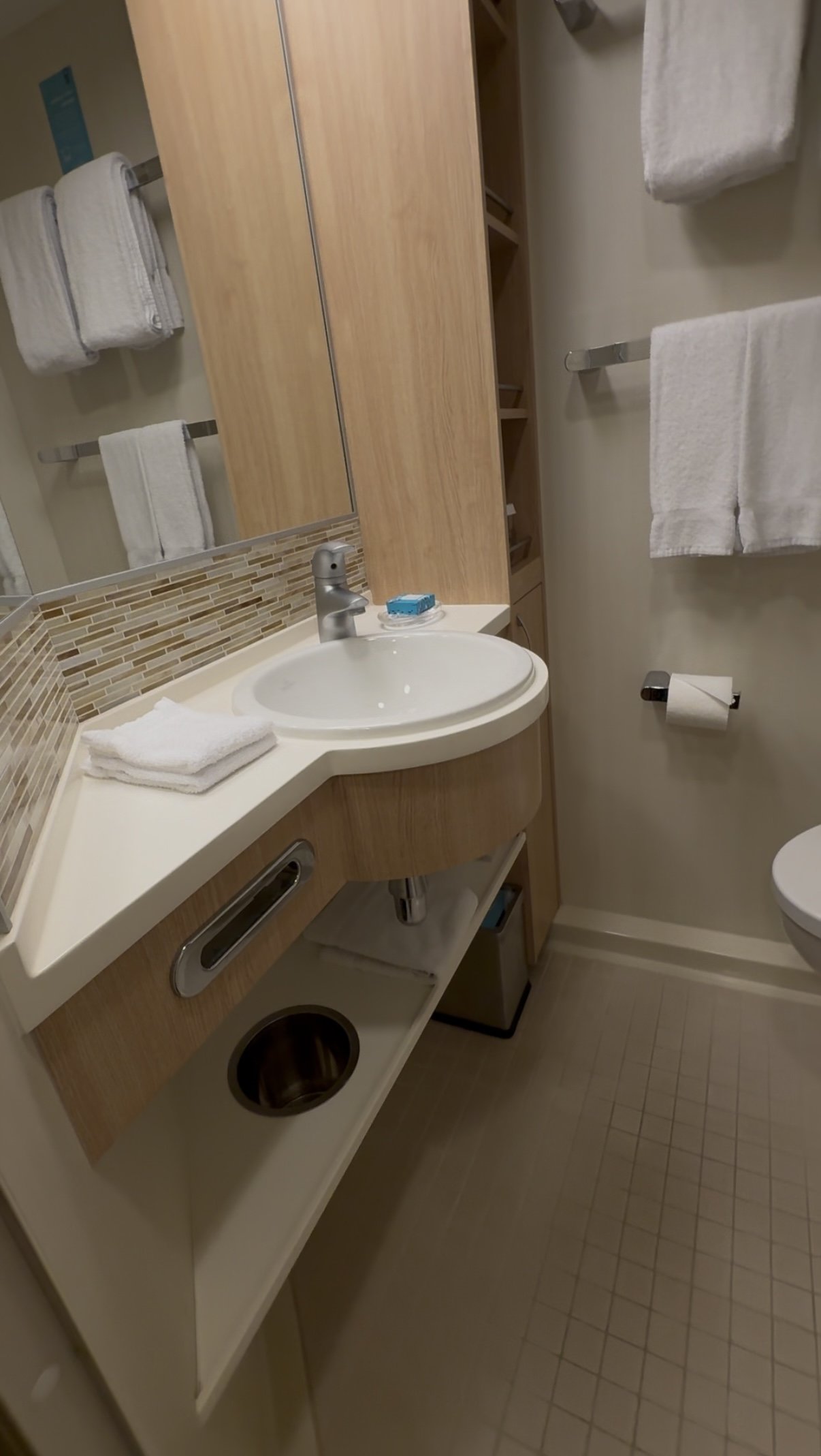 inside-stateroom-bathroom.PNG