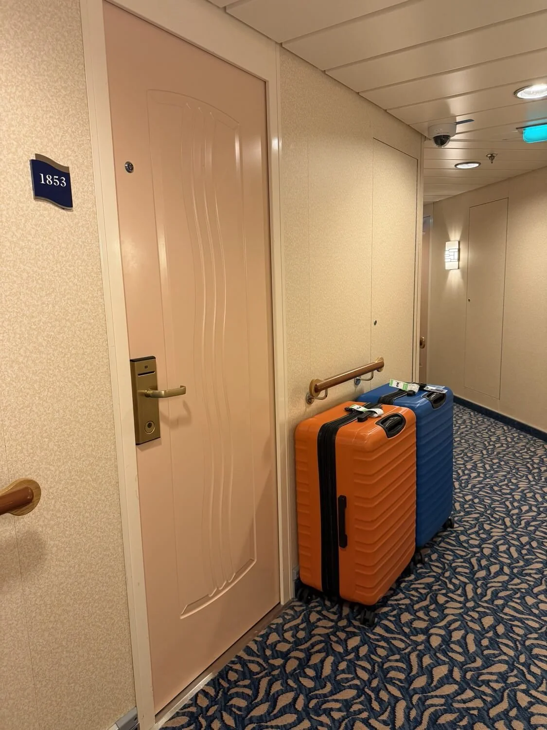 luggage-packed-independence.jpeg