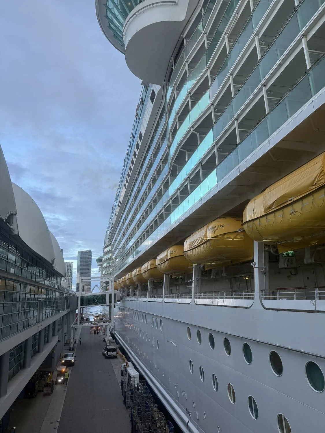 independence-of-the-seas-miami.jpeg