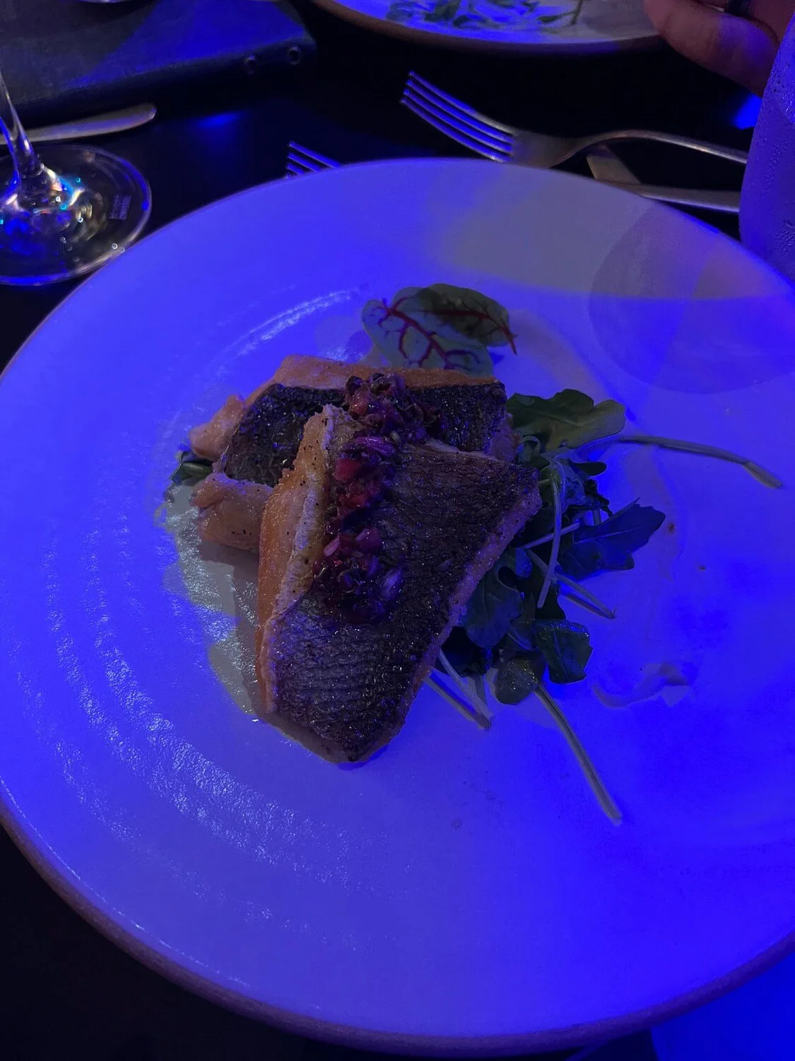 sea-bass-ship-show.jpeg
