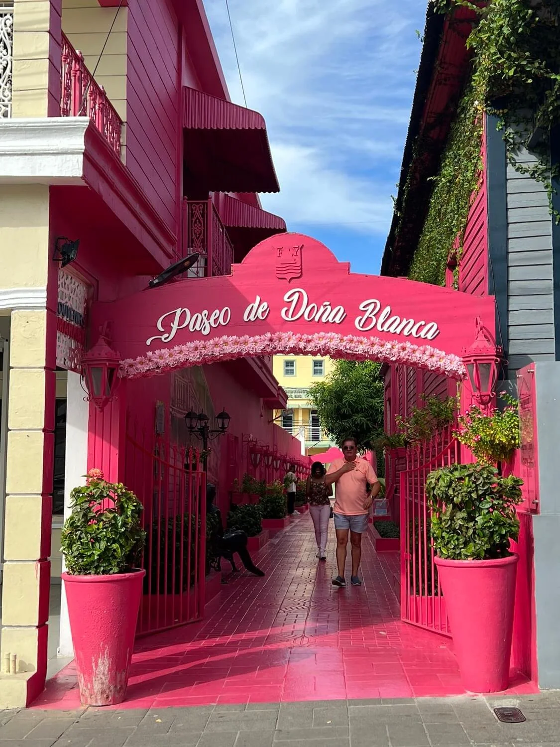 pink-street-dr.jpeg