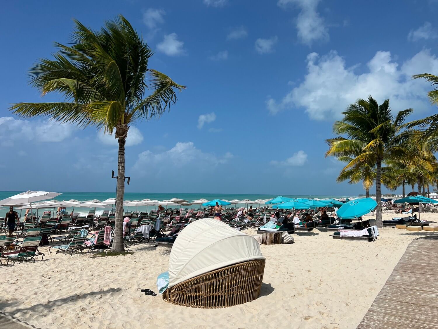 bimini-beach-club-chairs.jpeg