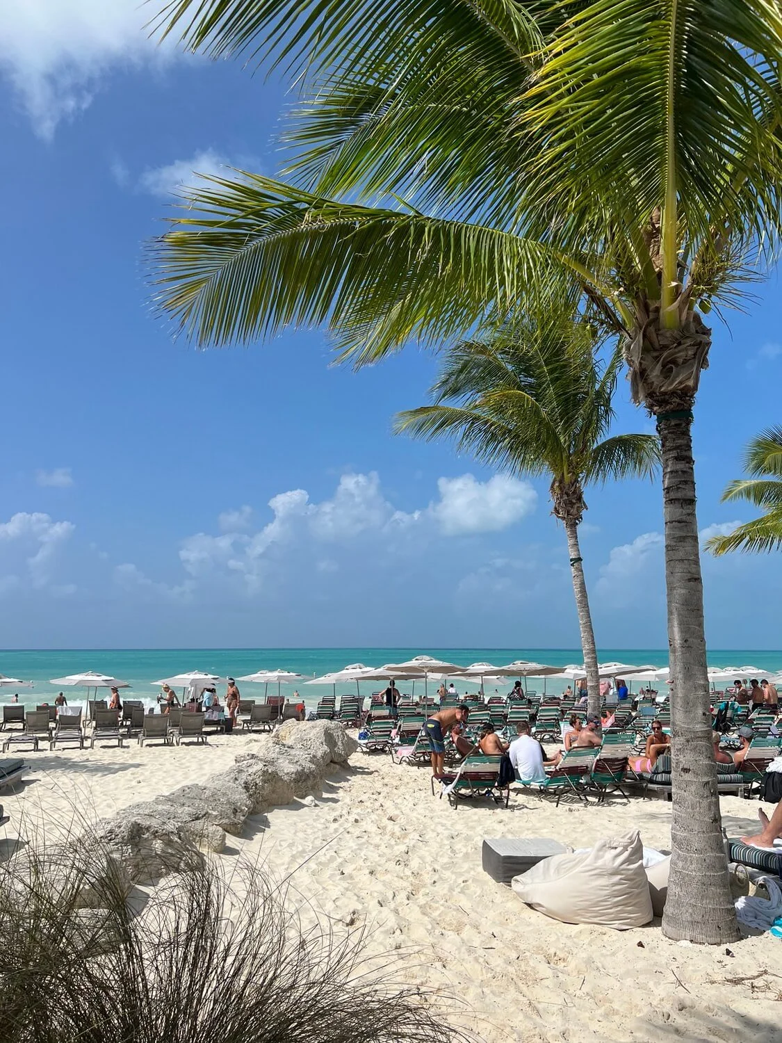 bimini-beach-club-beach-chairs.jpeg