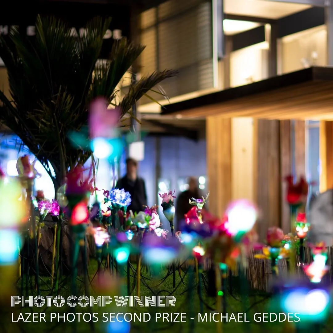 Light Up Whakatane