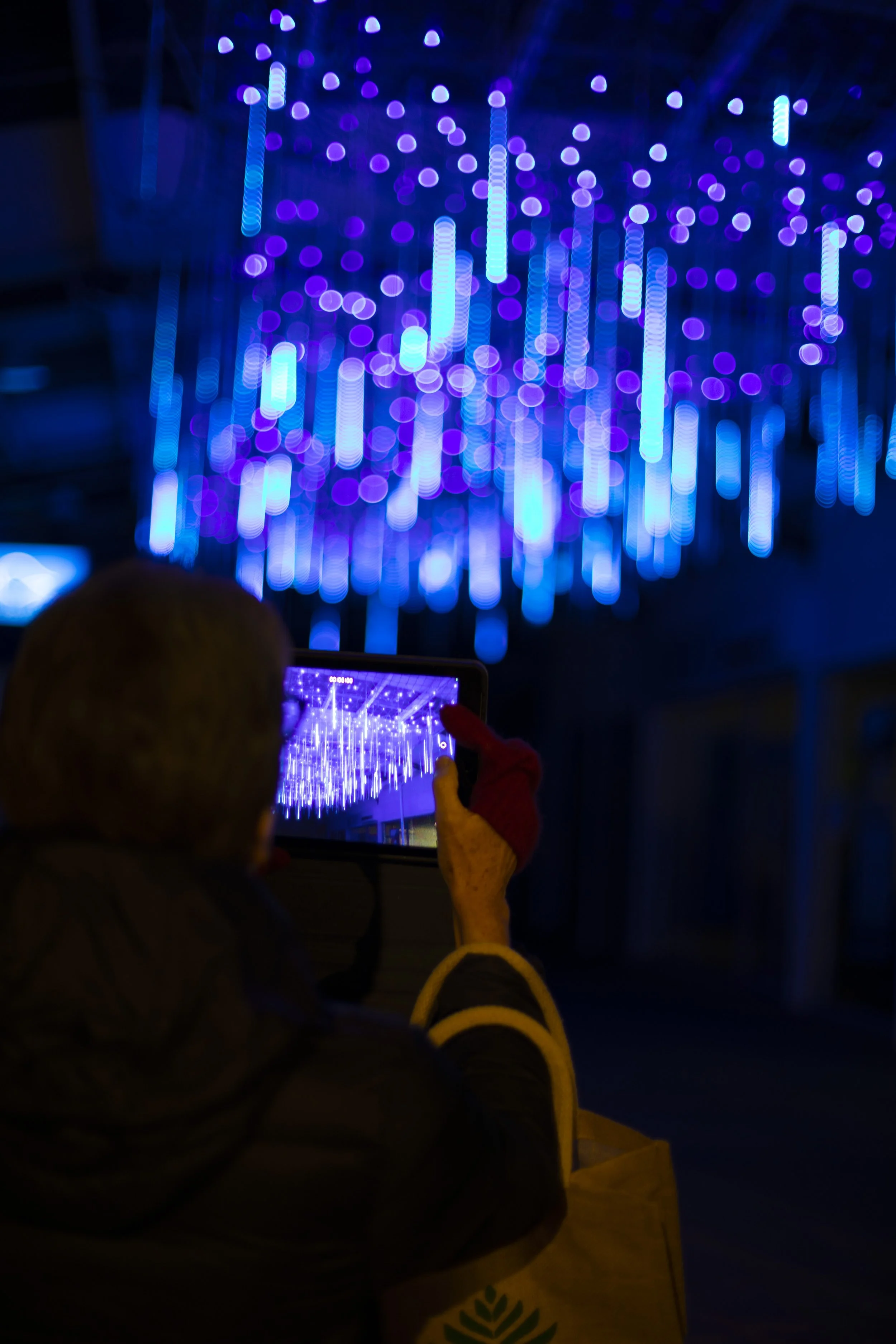 THLUW23 Sam-low_14.JPG