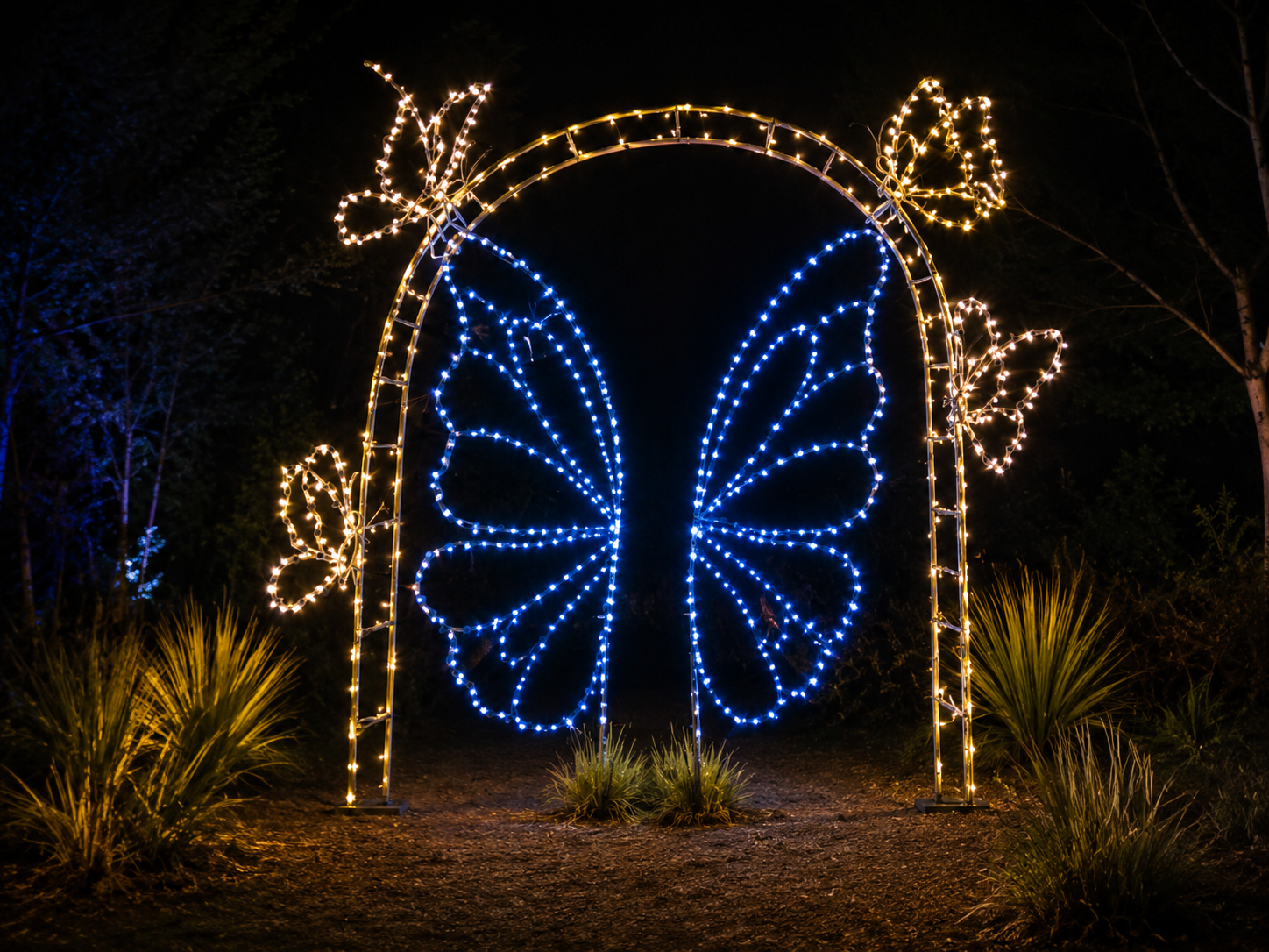 Enchanted Garden - Paige Visuals