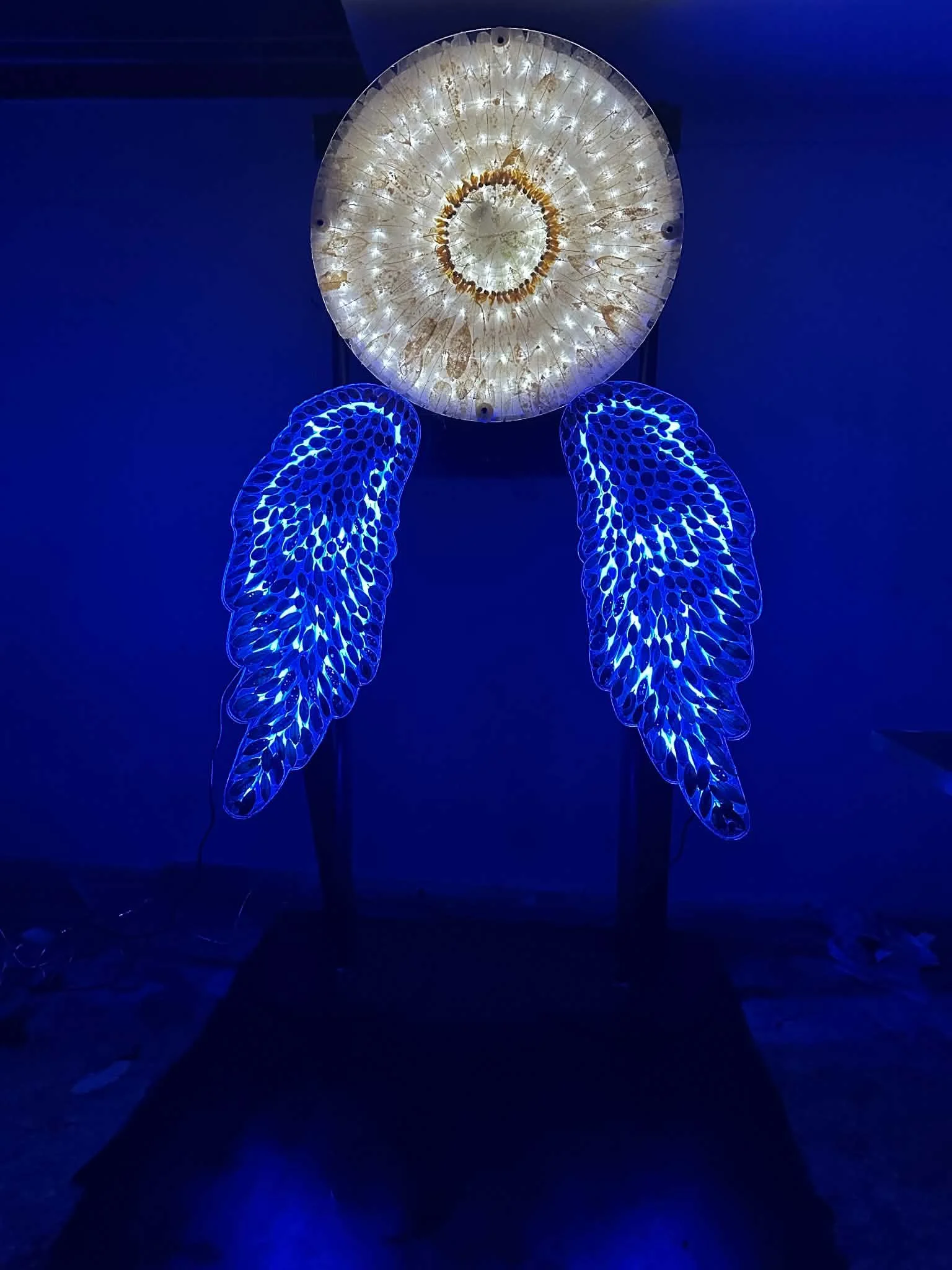 Wings of Light - Tamzin Blair