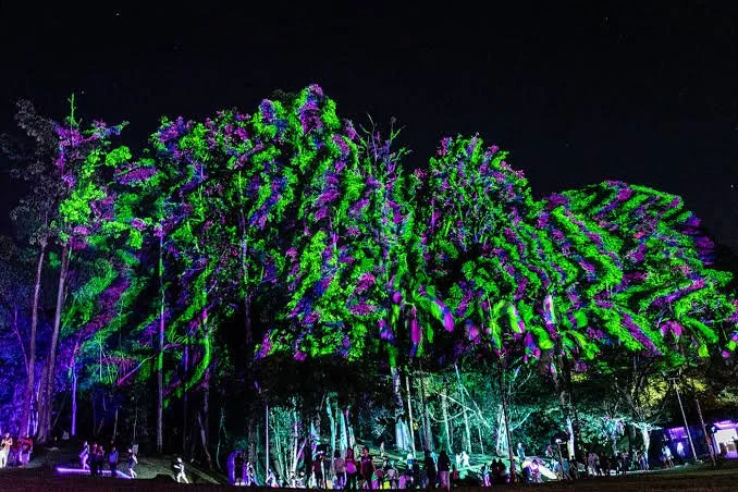 Canopy - Mink Funk Visuals