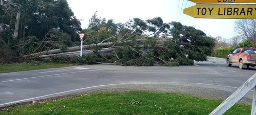 Trees down, multiple power cuts; strong winds wreak havoc in Canterbury ...