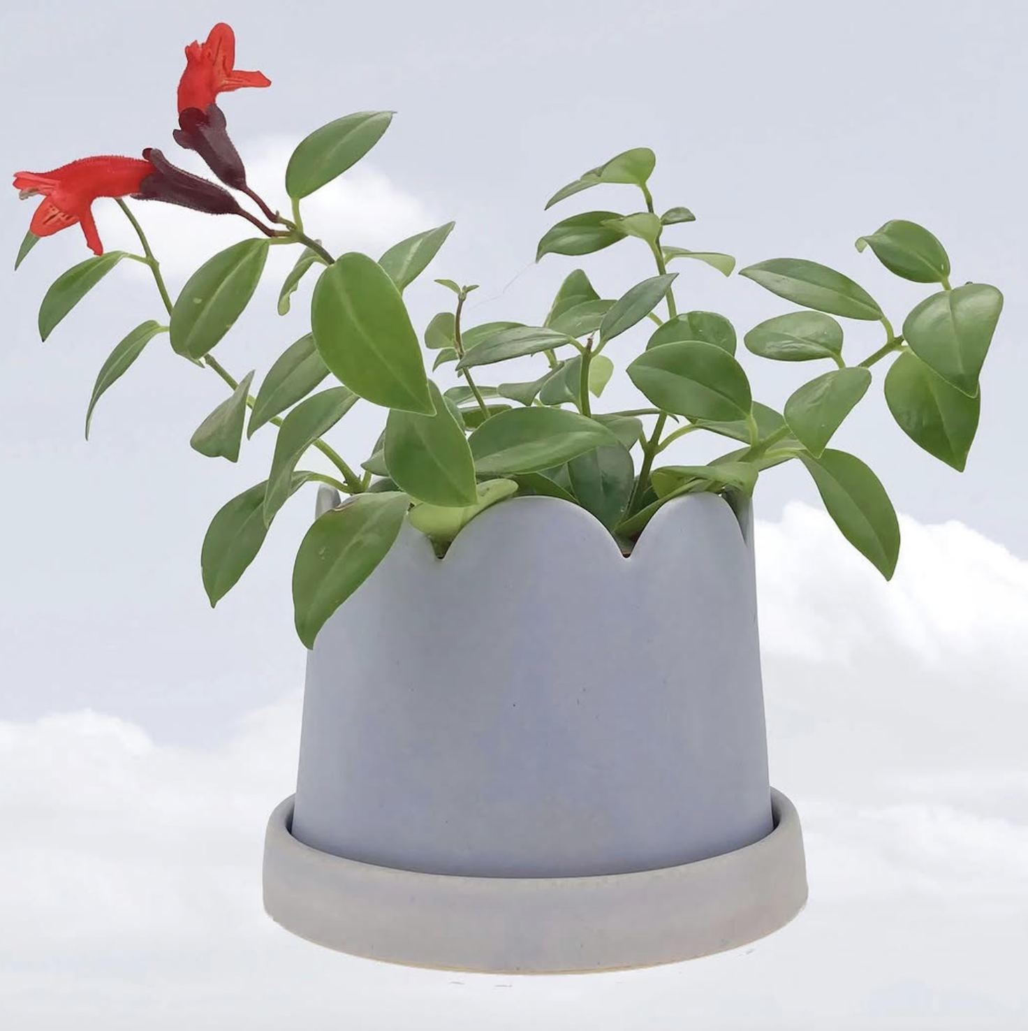 Screenshot 2026-03-19 at 8.33.48 PM.png