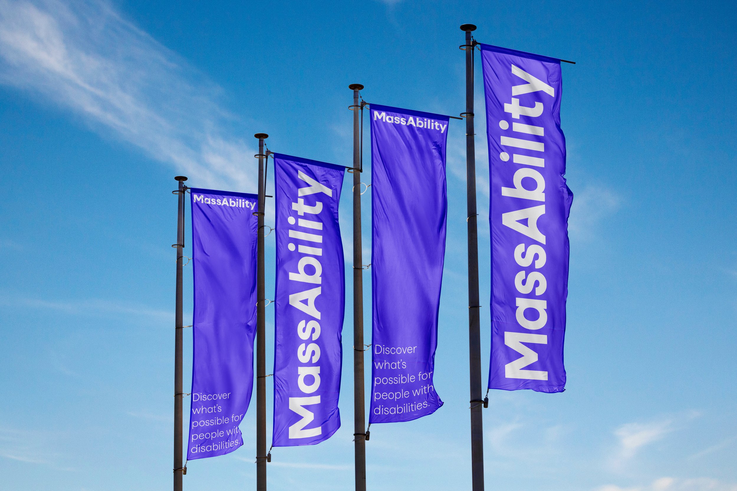 MassAbility_Flags.jpg