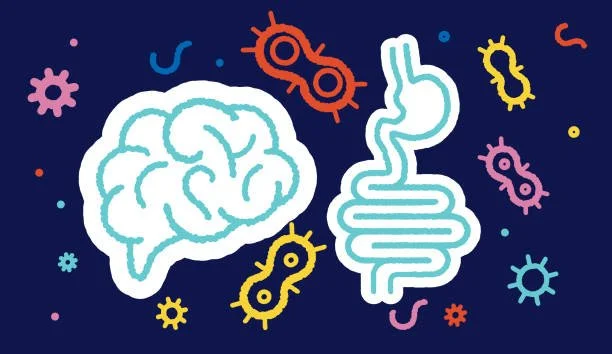 Your Gut and Brain Are BFFs: How Digestive Health Shapes Your Mental Clarity