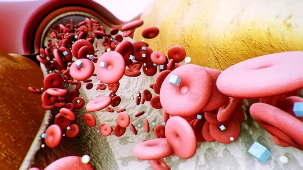 Your Gut and Your Metabolism: The Connection No One Warned You About