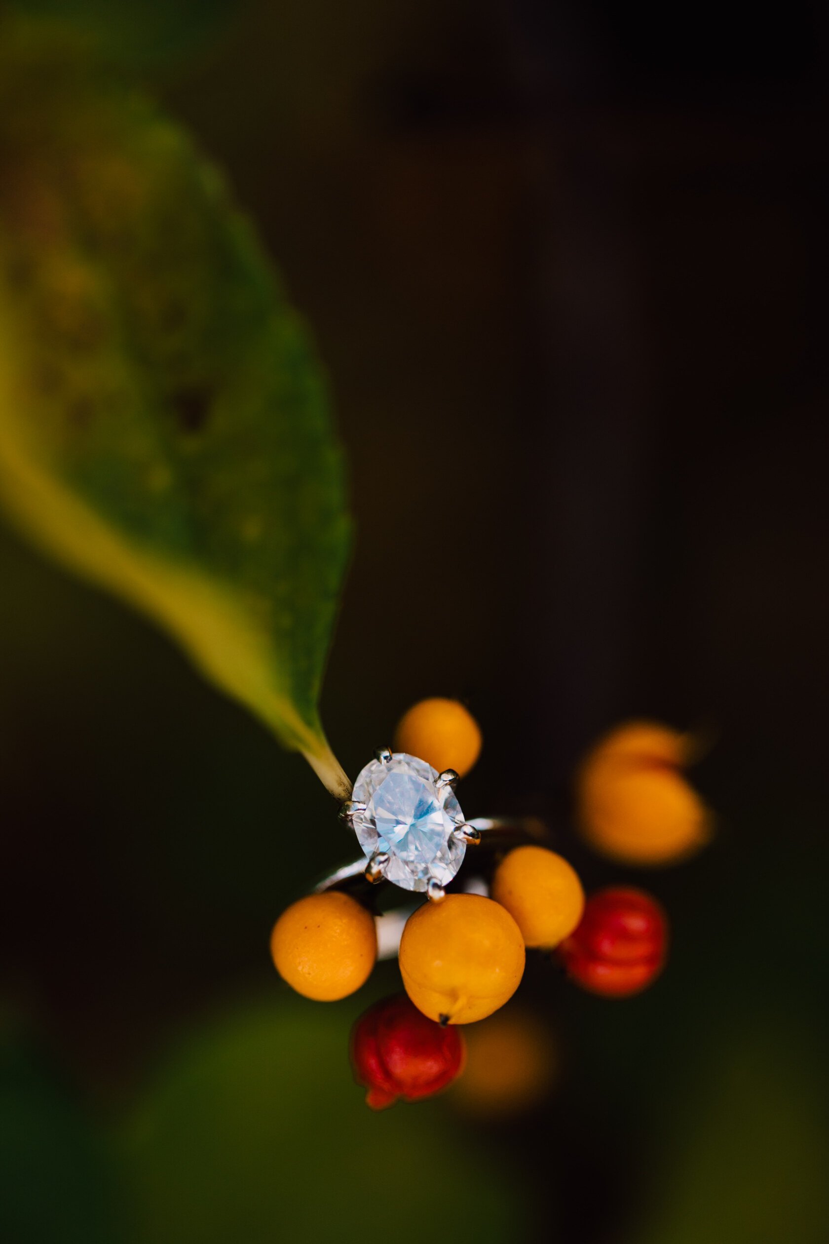  engagement ring photography from a mini session 