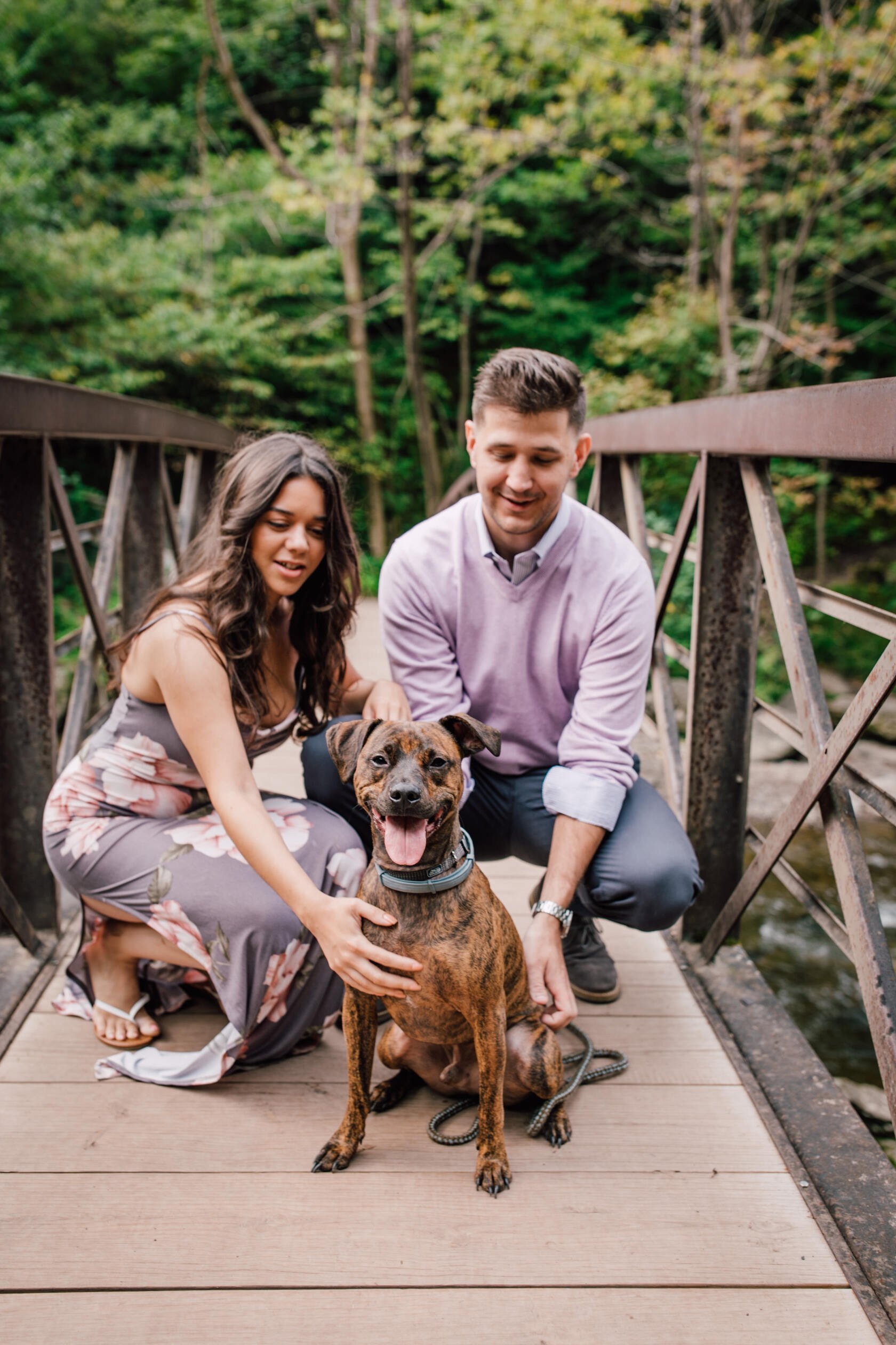  Engaged couple and their dog smile on a bridge at chittenango falls, dog engagement photos 