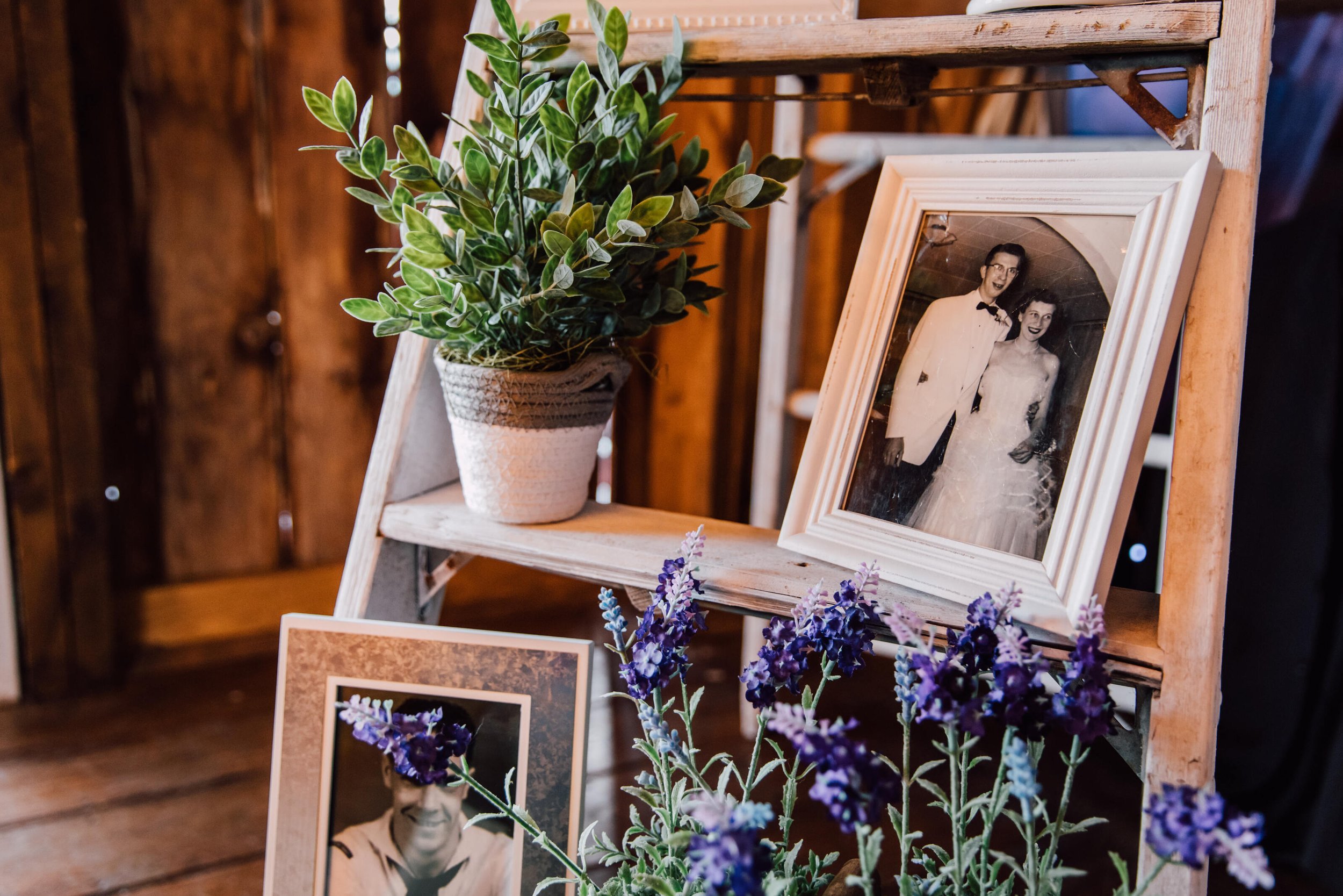  Photos of the bride and groom’s missing loved ones sit on a wooden ladder with plants at their barn wedding reception 