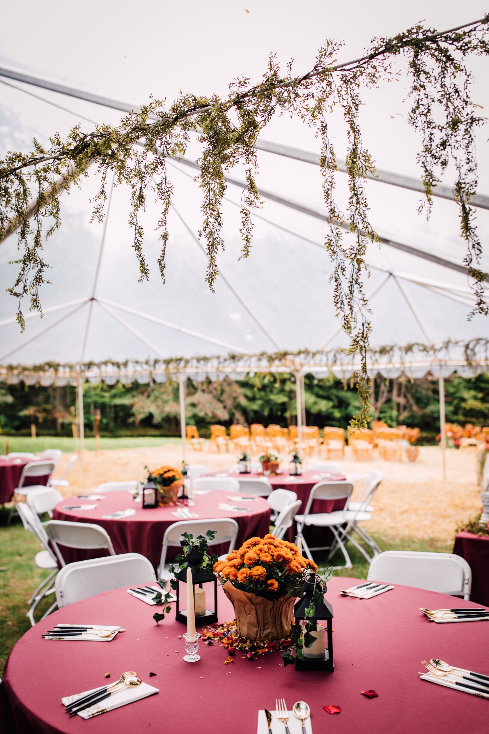  Places are set at a guest table with mums and lanterns as the centerpiece for backyard wedding decor 