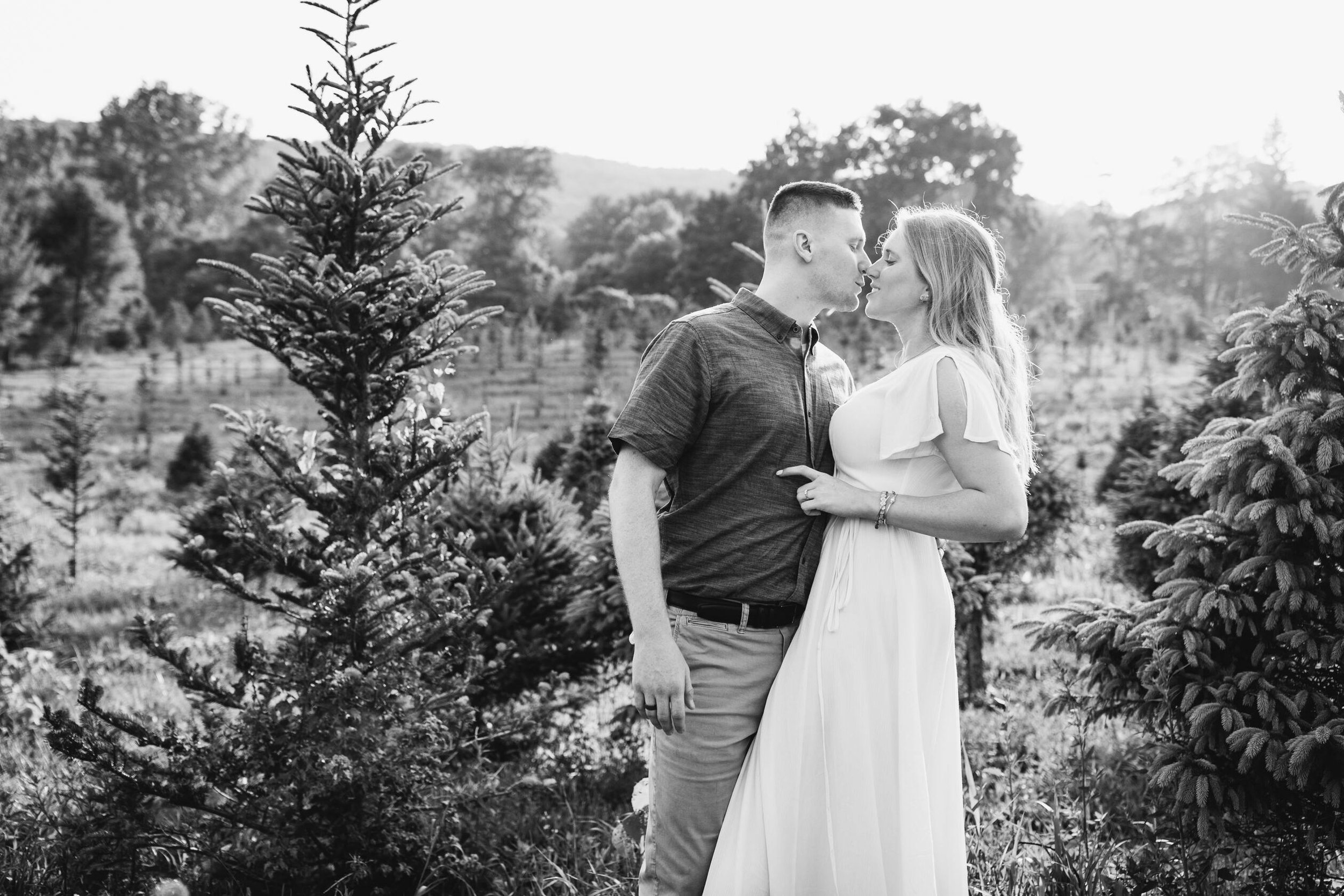  Engaged couple lean in for Christmas tree farm photos 