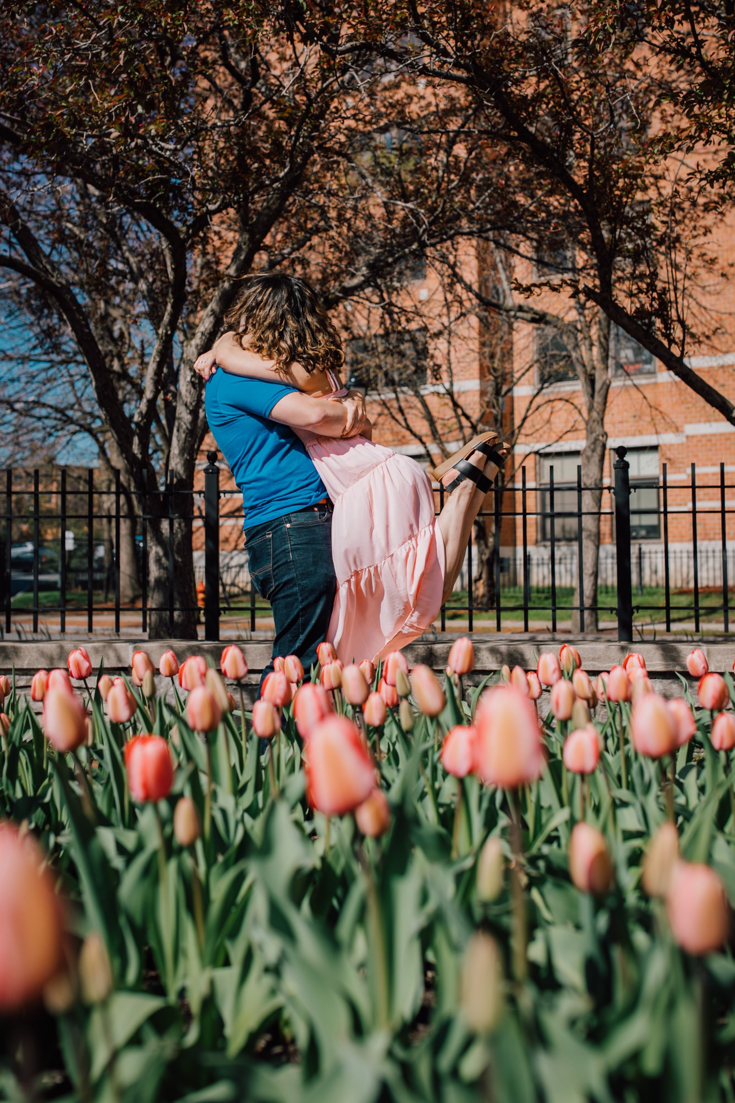  engaged man lifts his fiancee in an embrace in front of tulips in franklin square park syracuse 