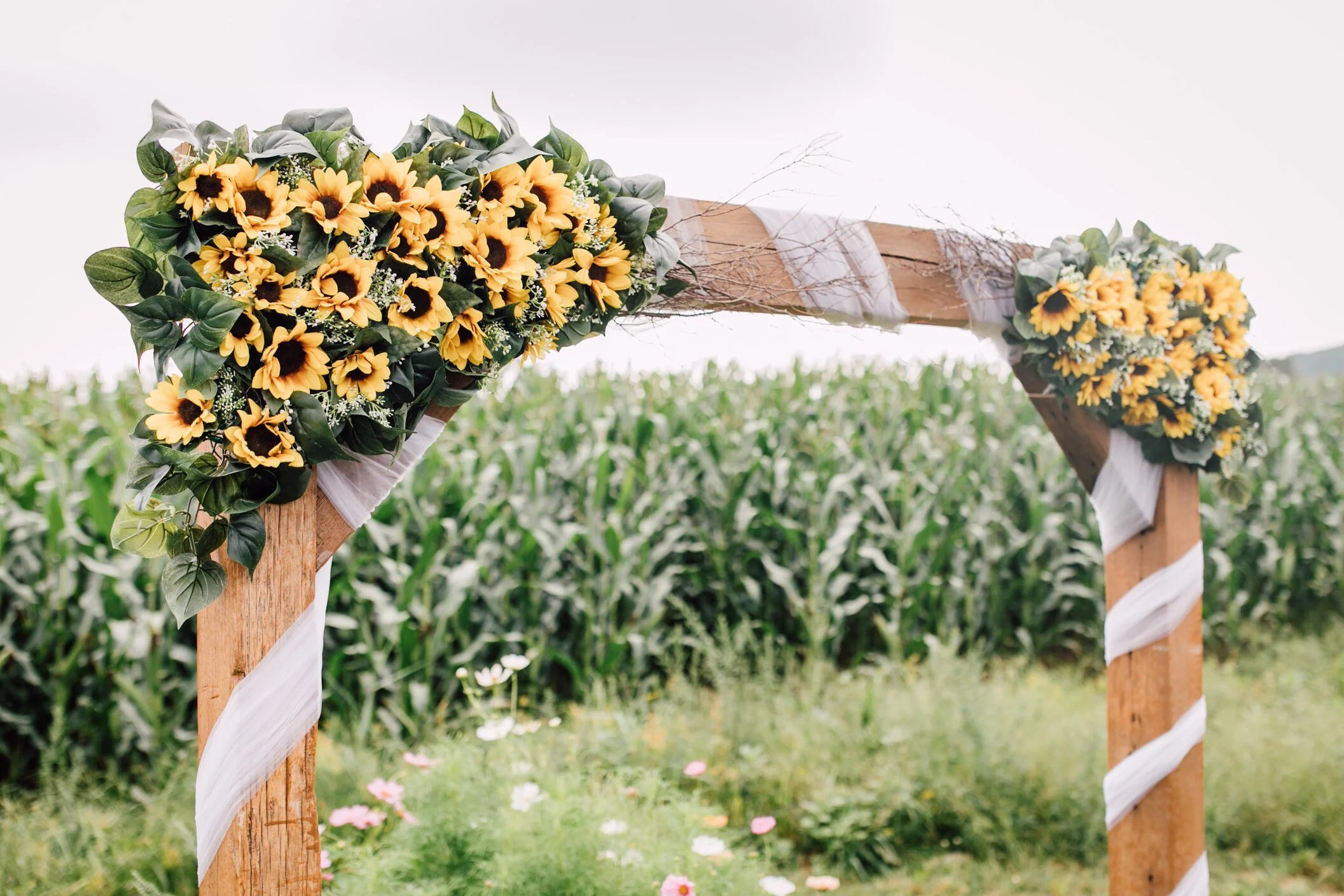  Wedding sunflowers arbor from an Arlington acred wedding 