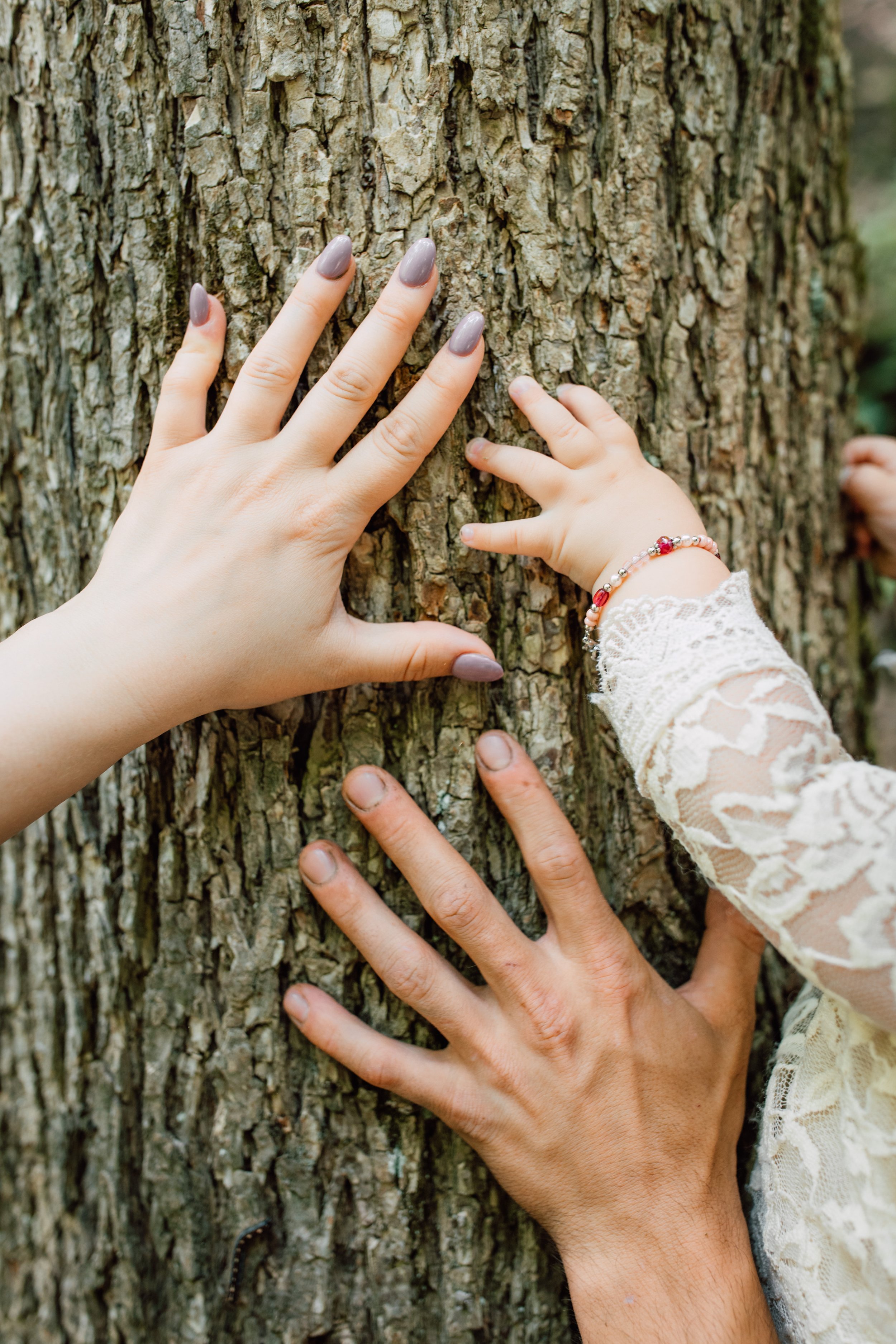  Mom, dad, and baby hold their hands against a tree at tinker falls on a family adventure 