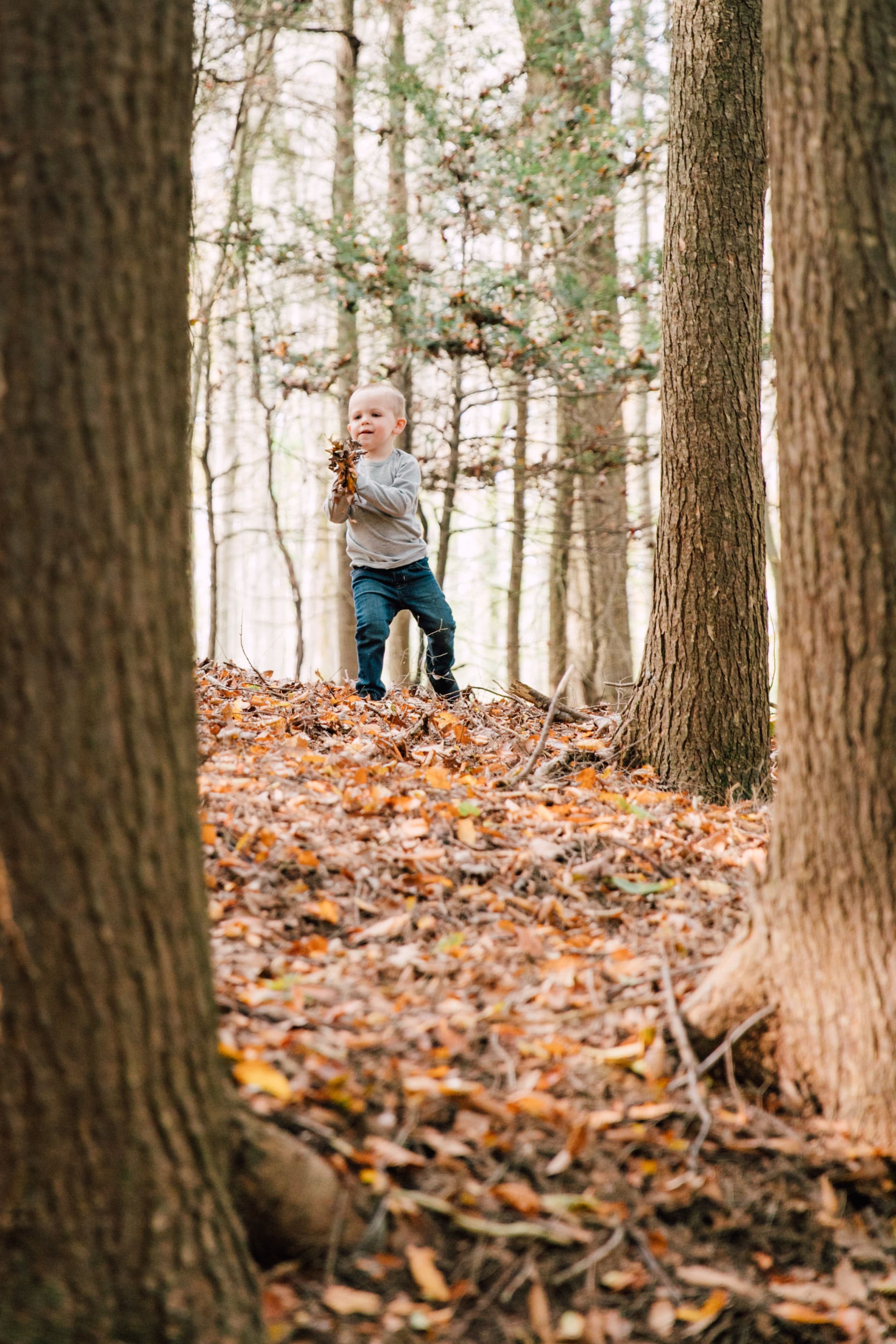  a child stands in the distance holding a pile of fall leaves during his parent’s backyard photoshoot 